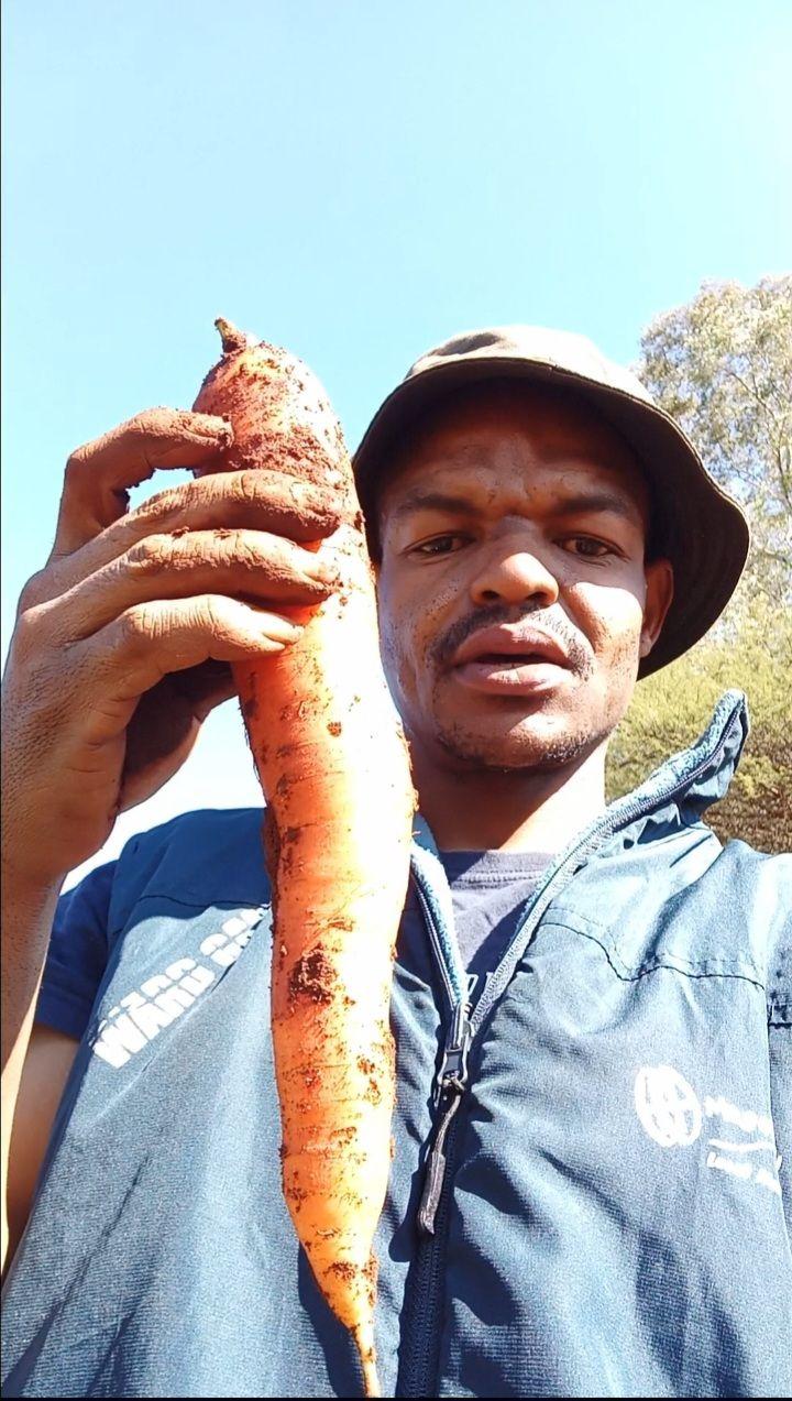 FARMER LESSON: SOIL PREPARATION MATTERS 🌍 People want to plant ...