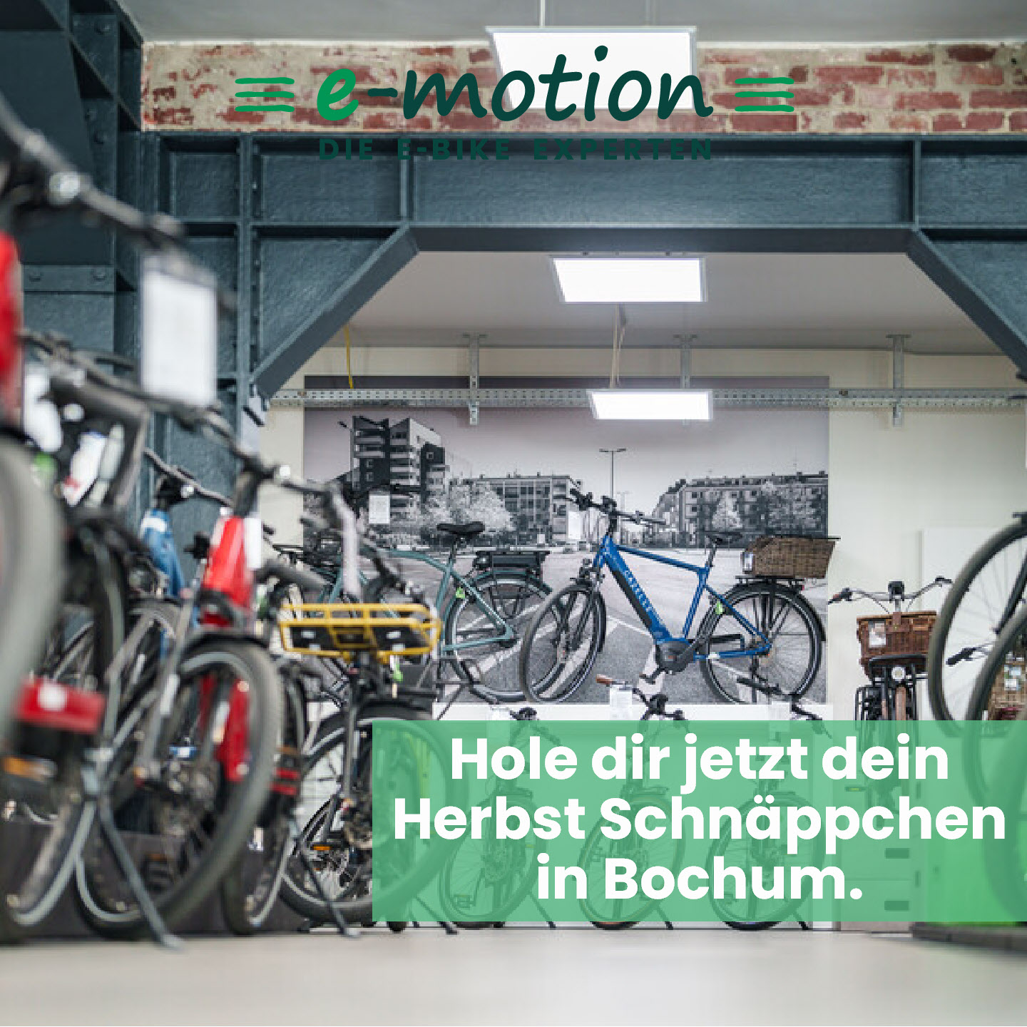 fahrradsattel aufnahme Sattel für 12 Terry Anatomica Flex Fahrradsattel HOT Größe:L 56-61
