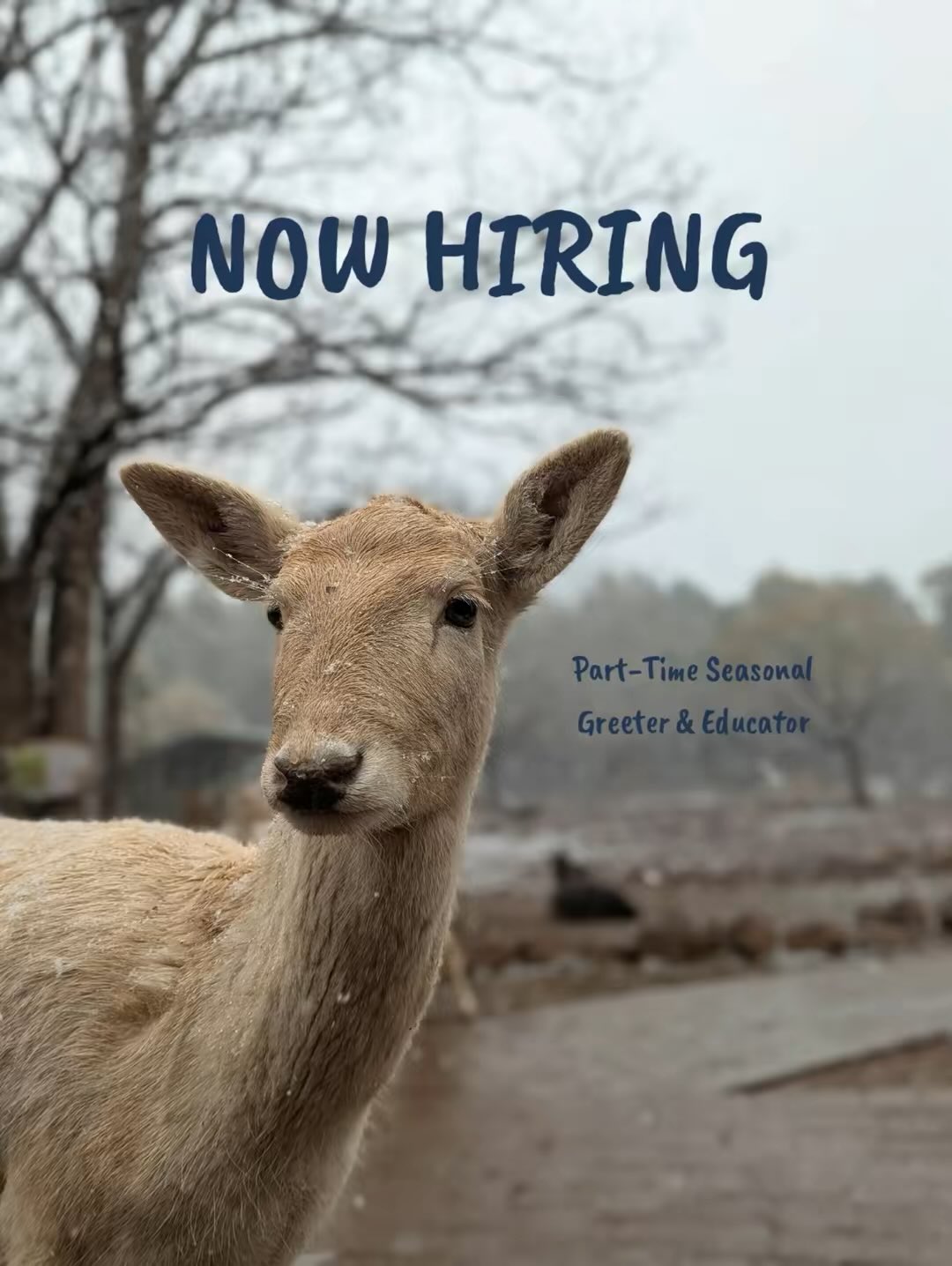 Grand Canyon Deer Farm added a... - Grand Canyon Deer Farm