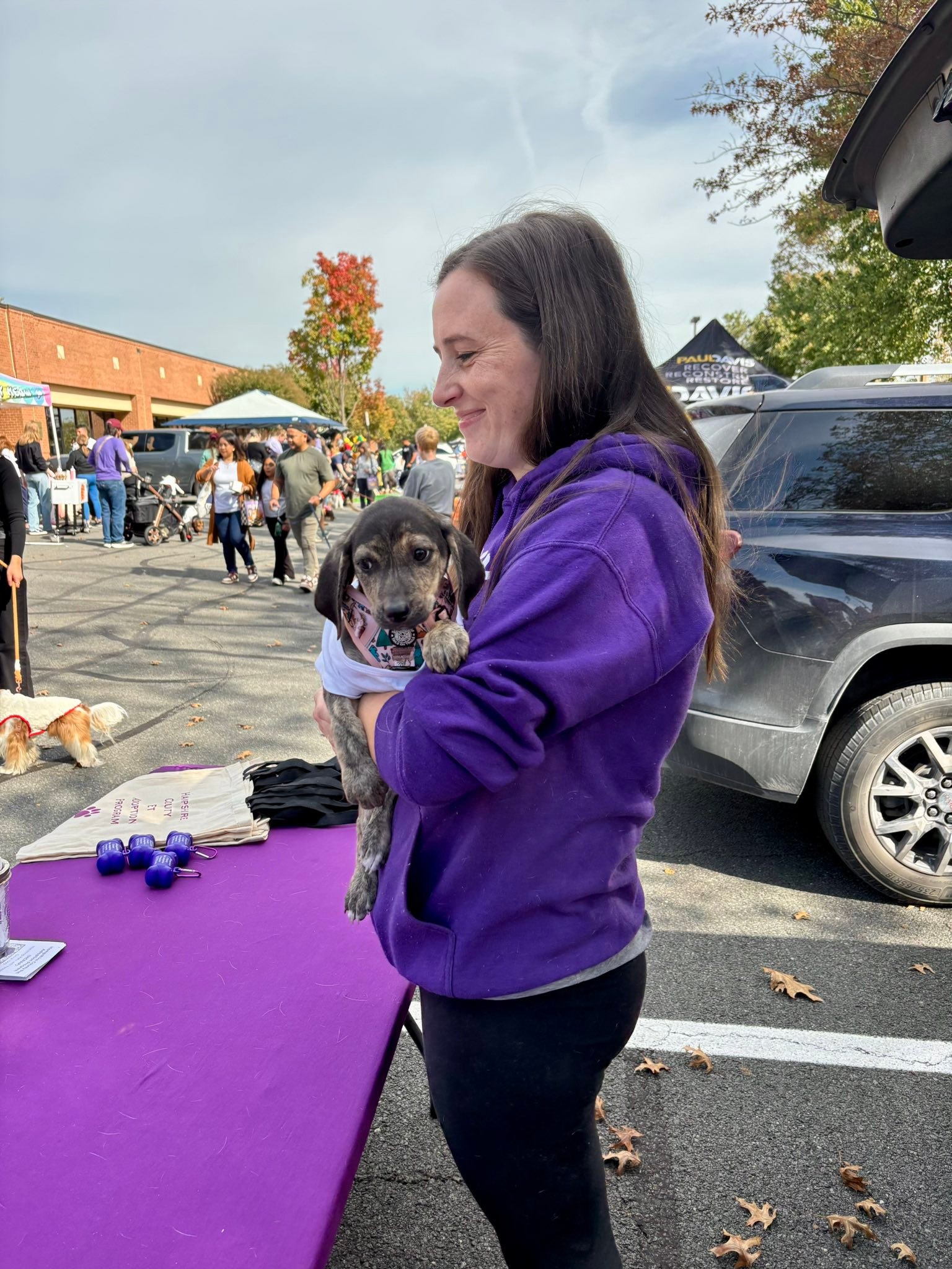Hampshire County... - Hampshire County Pet Adoption Program