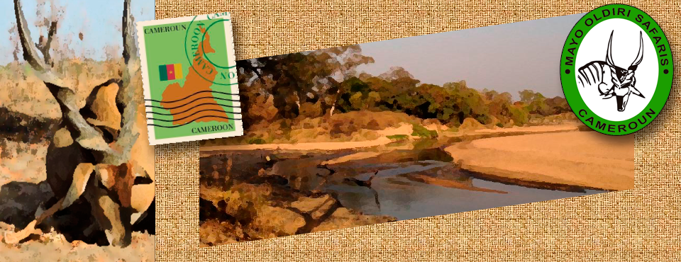 💥💥 CTSASA South African National... - Clay Target Shooting | Facebook
