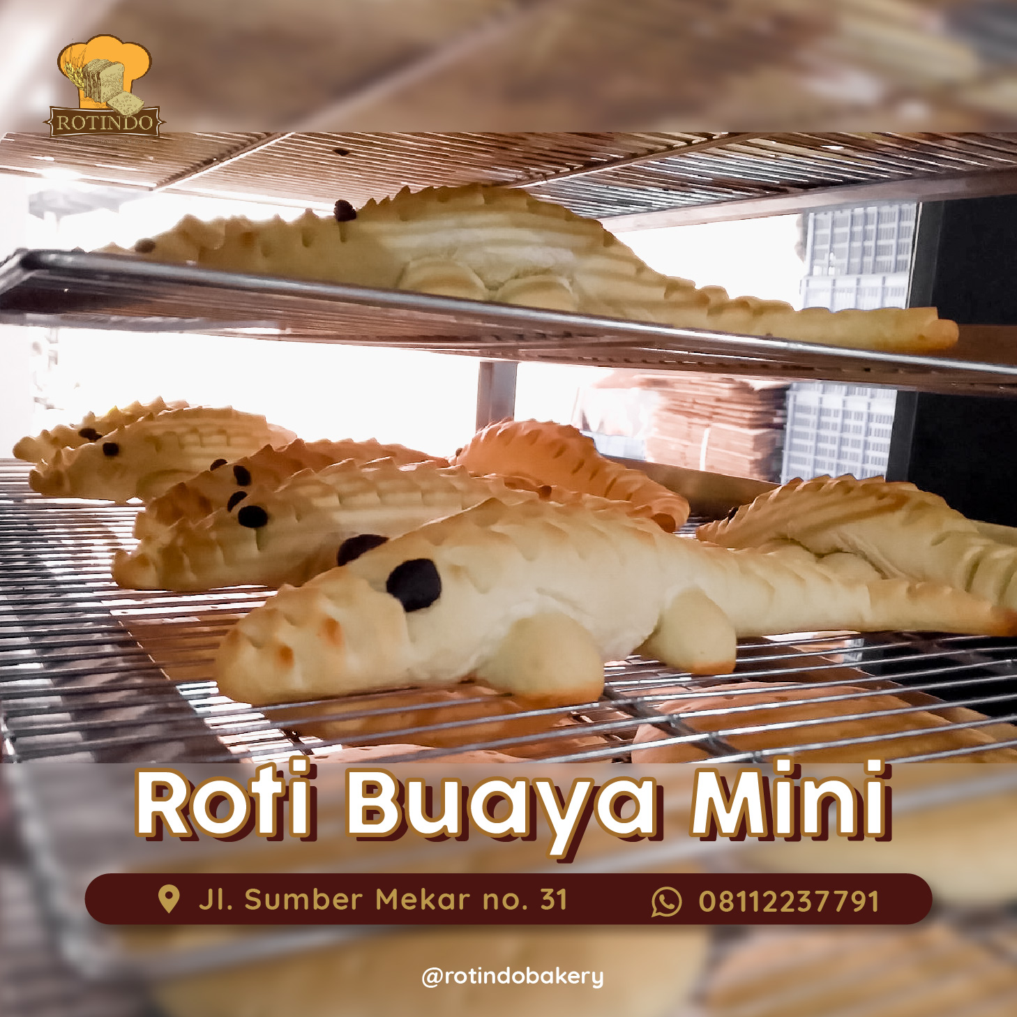 Rotindo Bakery - Secara umum, roti buaya adalah roti manis...
