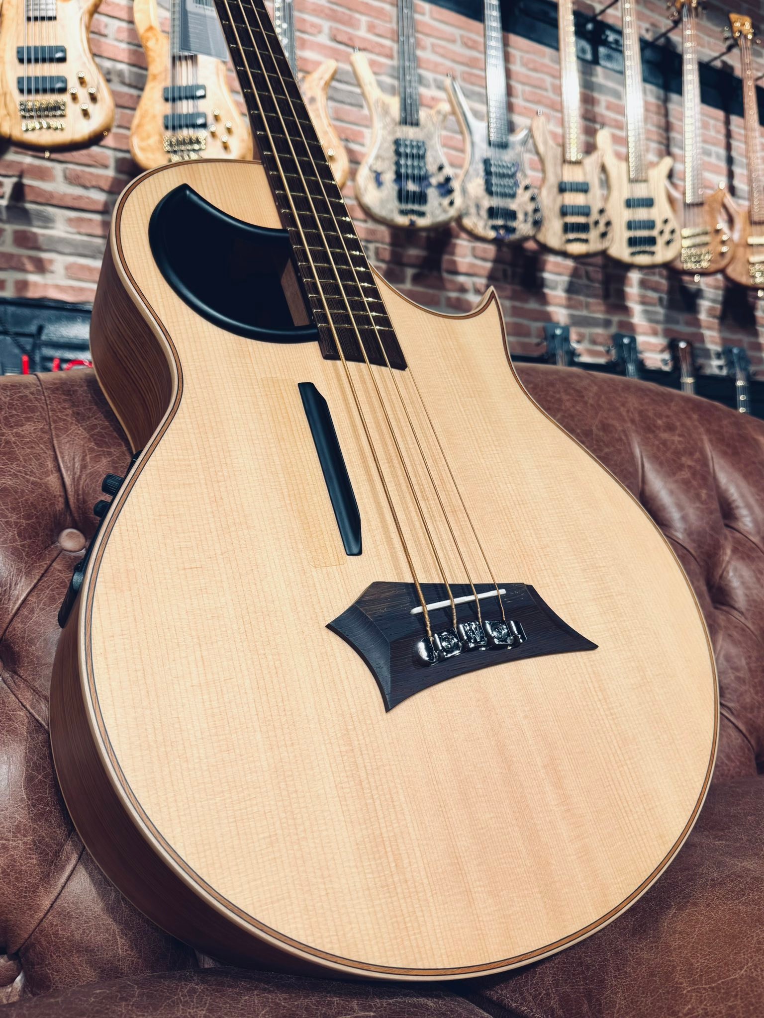 Hey Warwick fans! Are you in the hunt for an acoustic bass? Check 