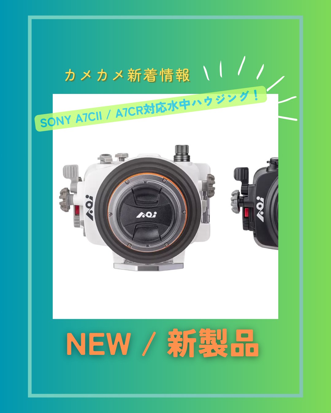 カメカメcamera 旧海の写真屋さん added a new photo. - カメカメ