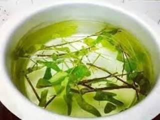 Herba Daun Rerama Organik... - Herba Daun Rerama Organik