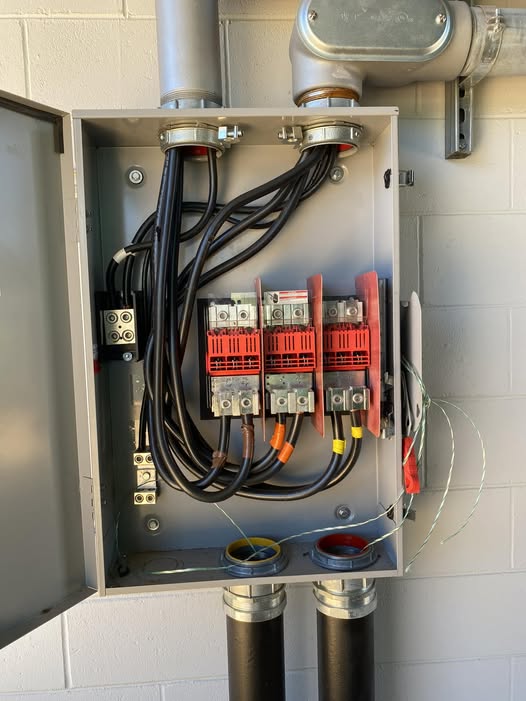 Electrician | a switch box with looping neutral conductors, multiple ...