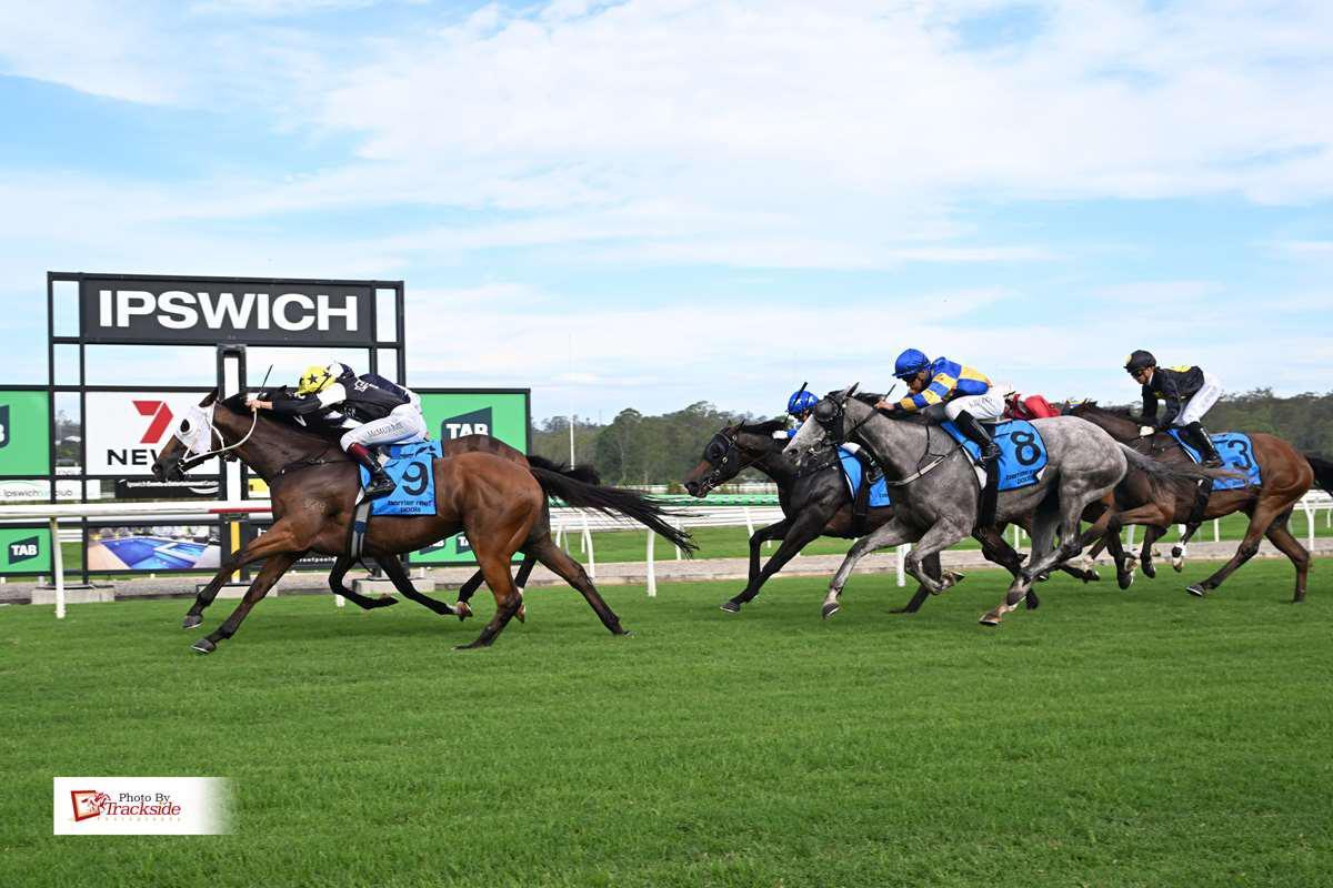 Donalds Racing - WINNING WIREWALKER 🔥 Another impressive... | Facebook