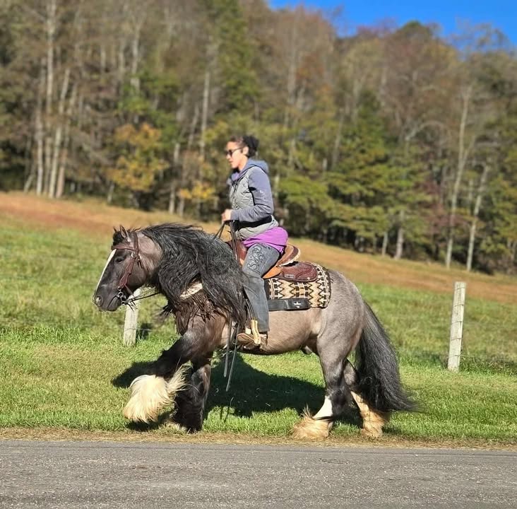 New Paris Equine Center added a... - New Paris Equine Center