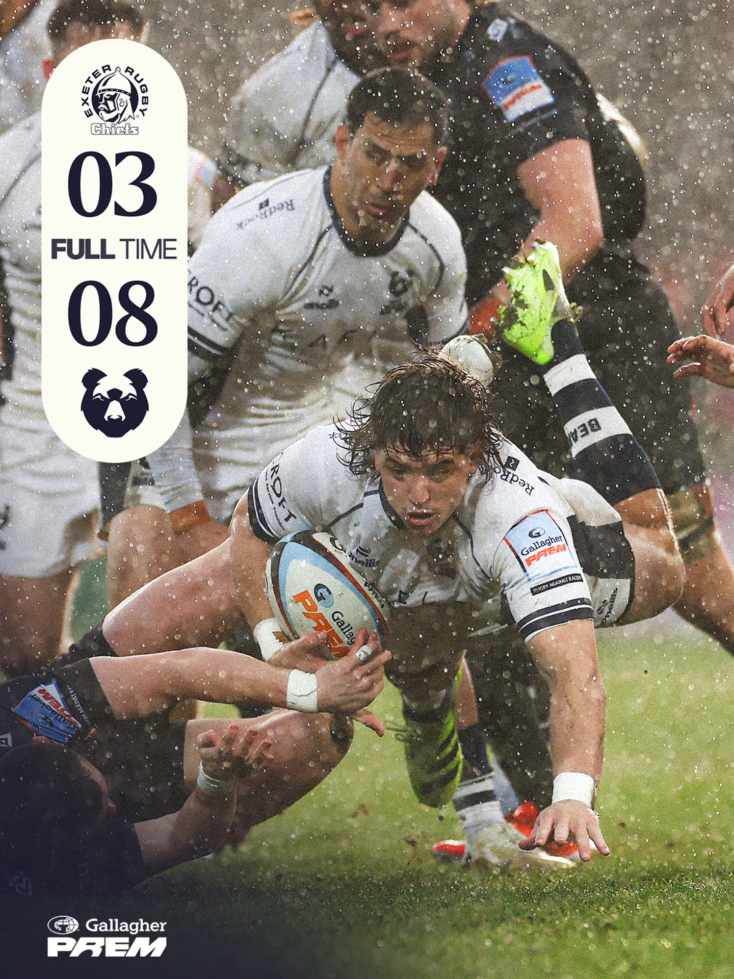 HOW ‘BOUT THEM BEARS? 🐻 - Bristol Bears Rugby | Facebook