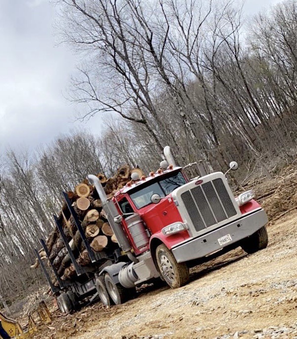 North Alabama Timber | Hollywood AL