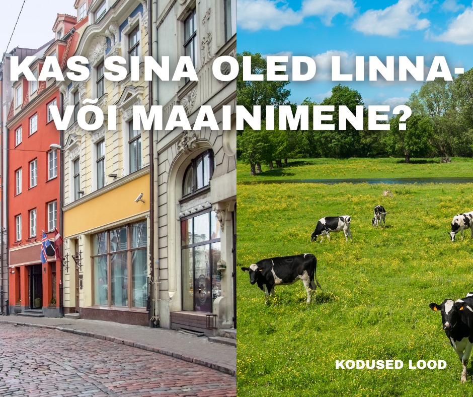 Kodused lood | Facebook