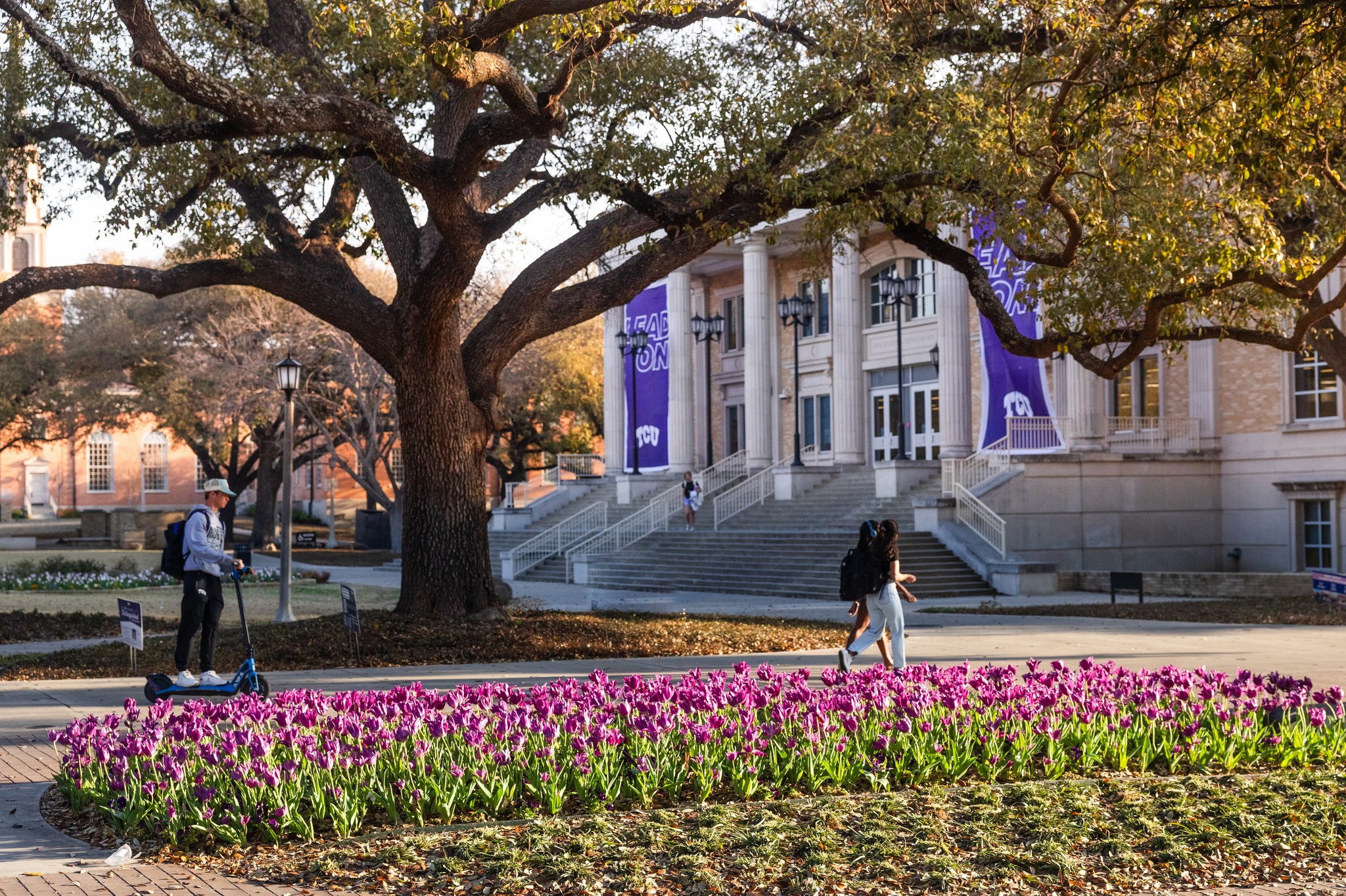 TCU Library | Fort Worth TX