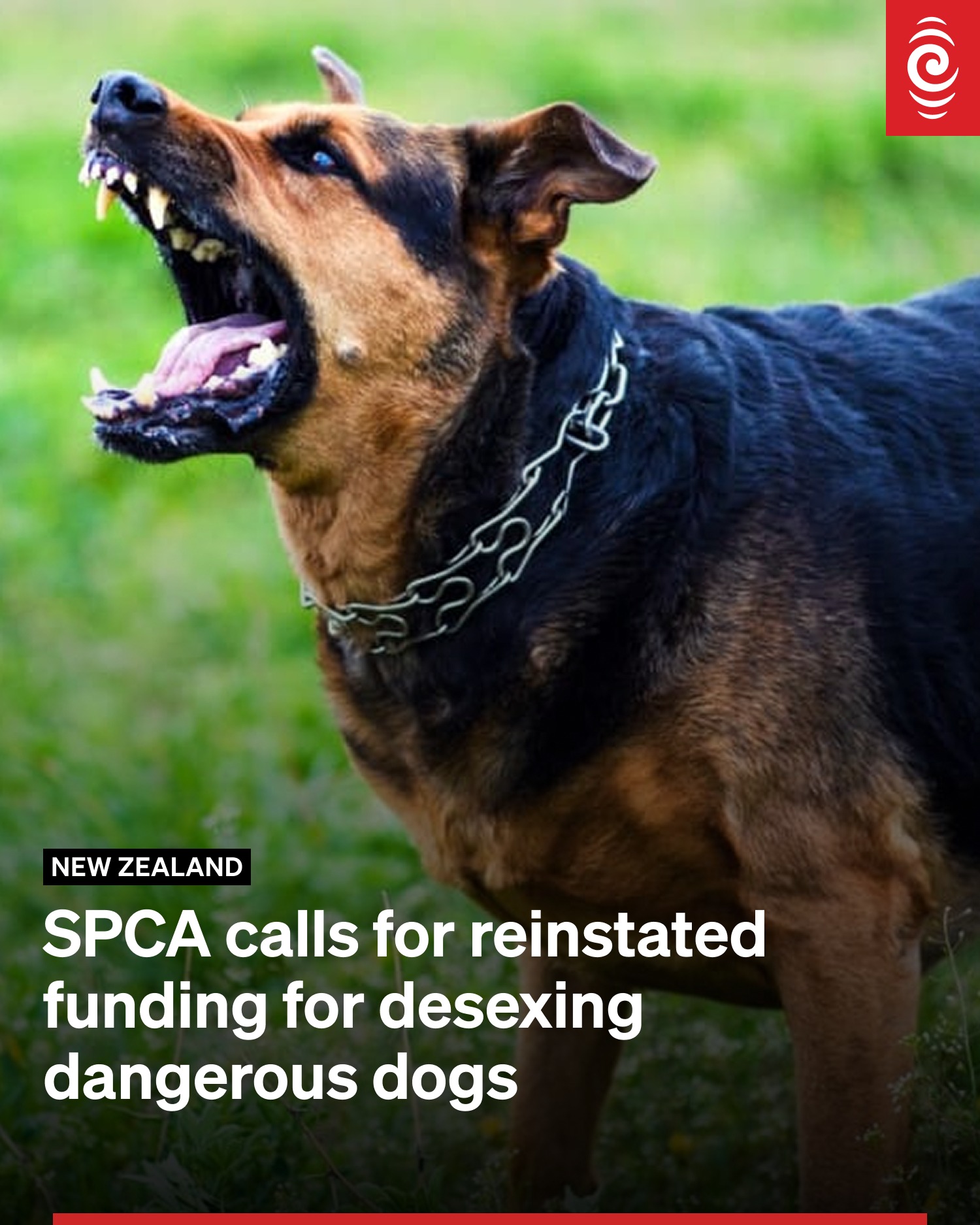 RNZ - The agency said it had been campaigning for a review... | Facebook