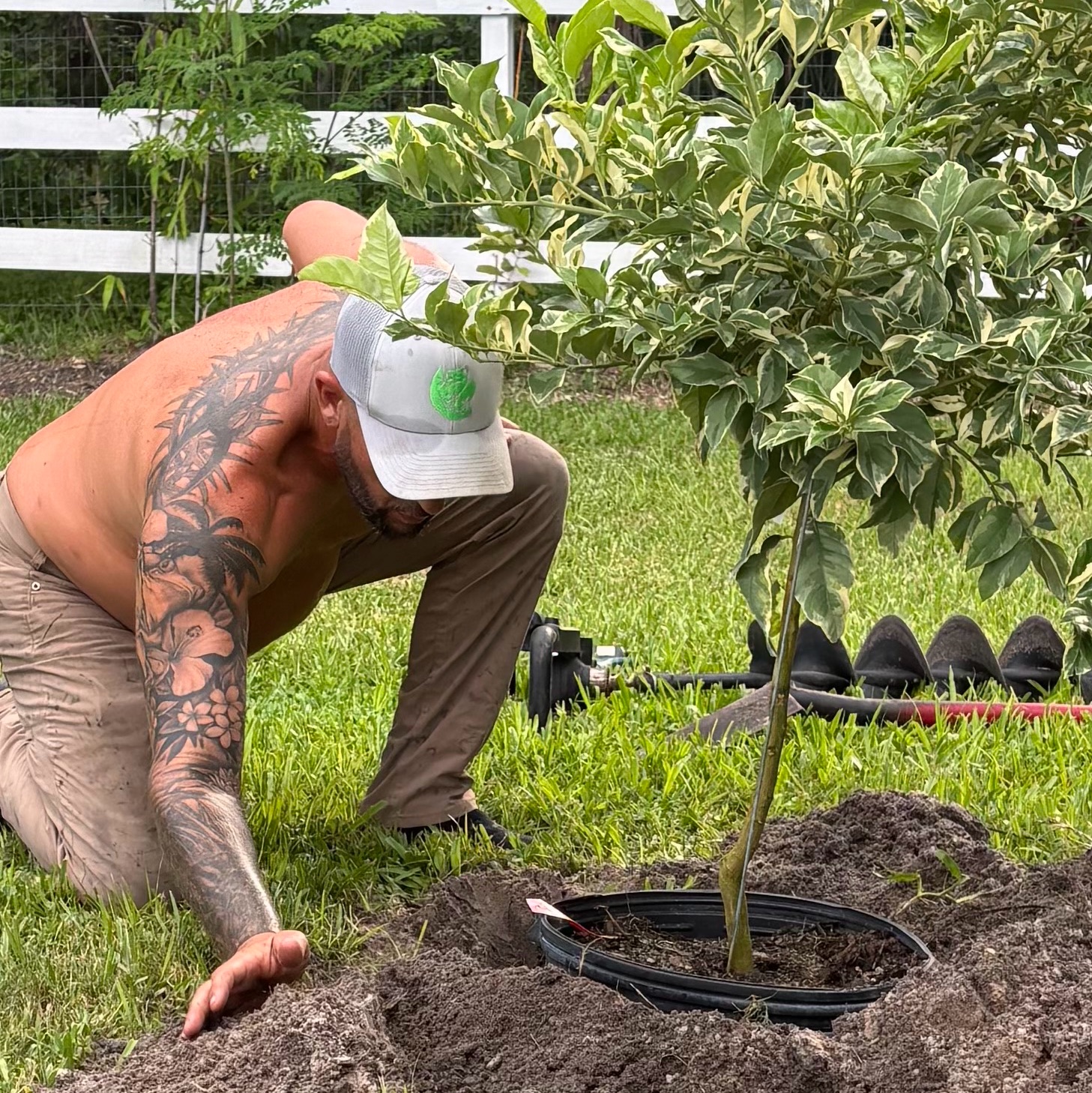 Good morning let us know if you’re looking for lawn service We provide ...