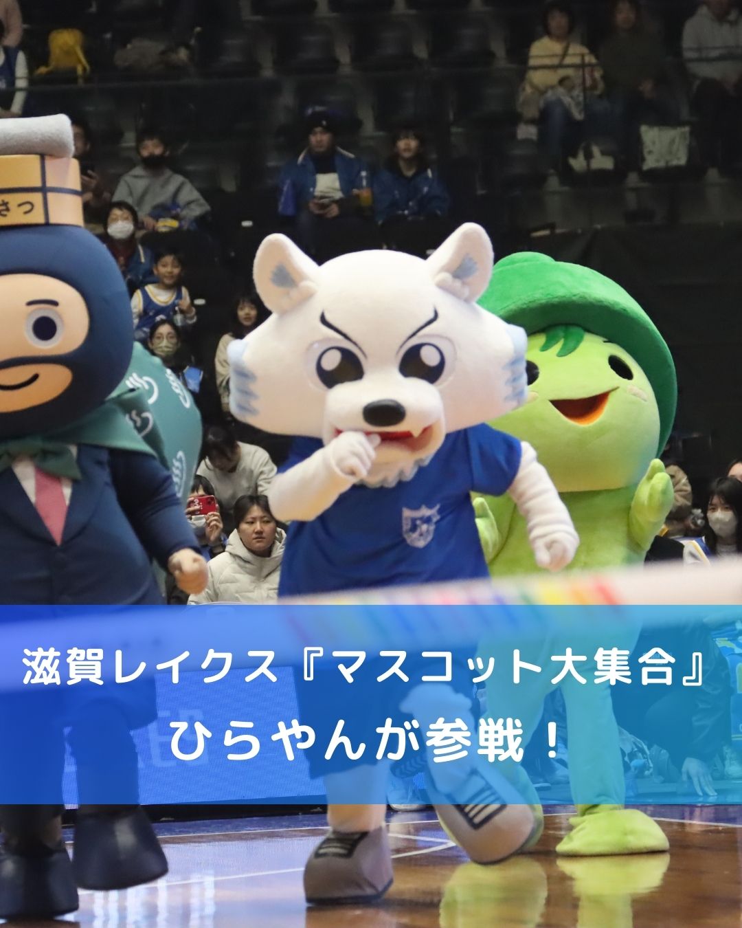 滋賀レイクス『マスコット大集合』にひらやんが参戦！📣】 1月3日・4日