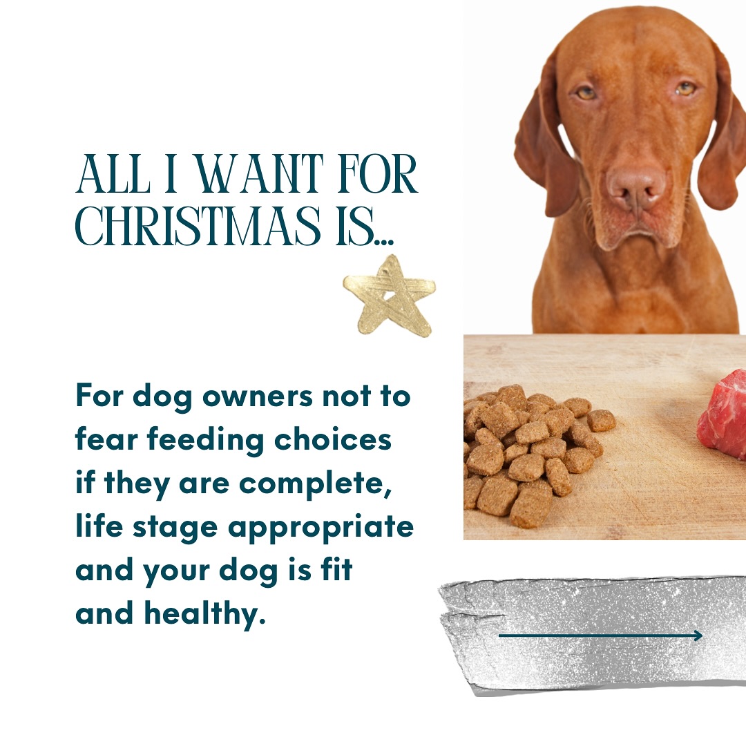 The Canine Dietitian - Whoops noticed a typo and had to change! I love ... - Steady Blood Sugar Canine Feed With Phytosterols