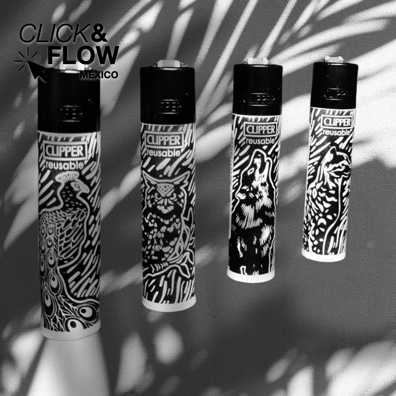 Click & Flow México