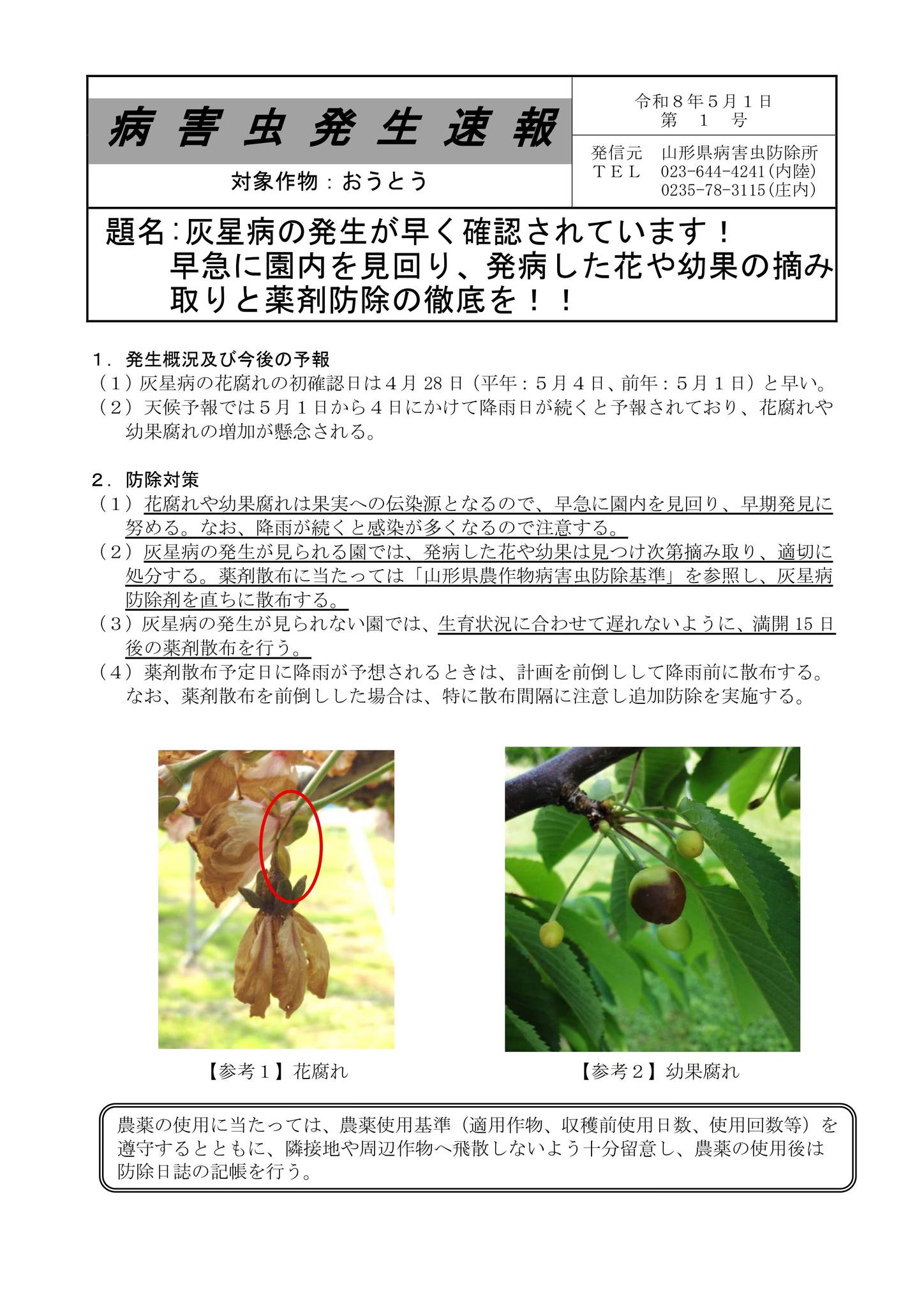 さくらんぼ農家の皆様へ＞ 4月28日に、おうとう灰星病（花腐れ）の初 