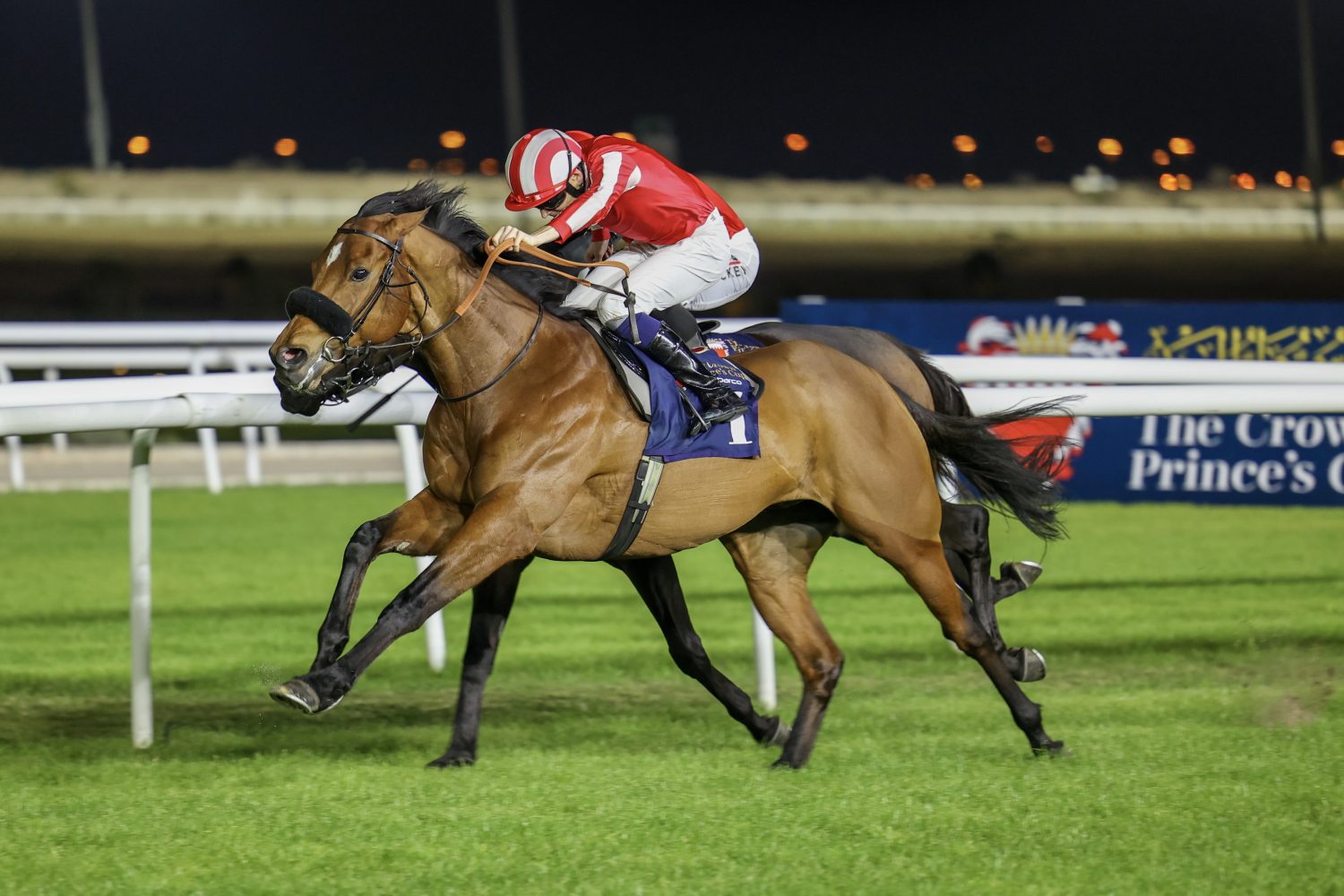 George Scott Racing | Newmarket