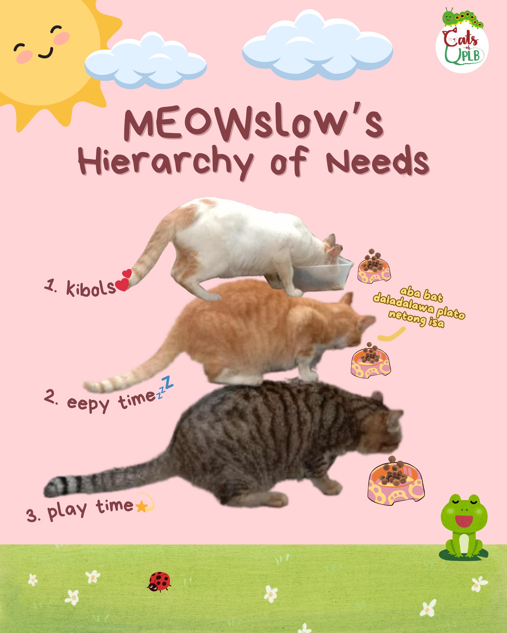 Cats - 𝗠𝗘𝗢𝗪𝘀𝗹𝗼𝘄’𝘀 𝗛𝗶𝗲𝗿𝗮𝗿𝗰𝗵𝘆 𝗼𝗳 𝗡𝗲𝗲𝗱𝘀 🔺️ #UPLBCatMarco #UPLBCatLuya # ...