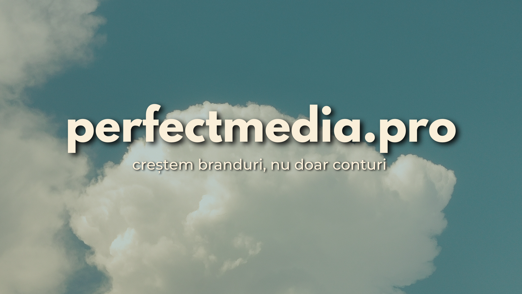 Perfect Media.pro