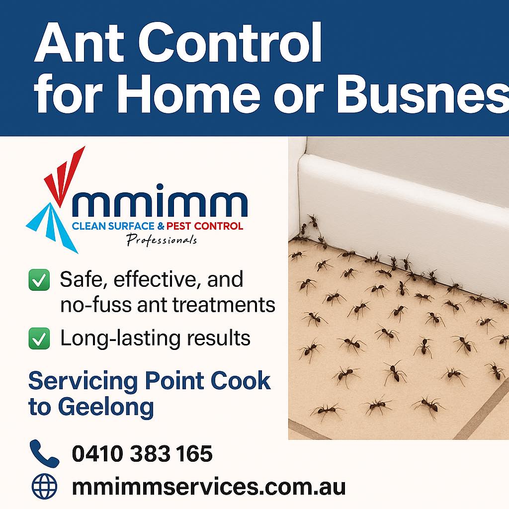 MMIMM - 🐜 Ant Control for Home or Business Are ants taking over your ...