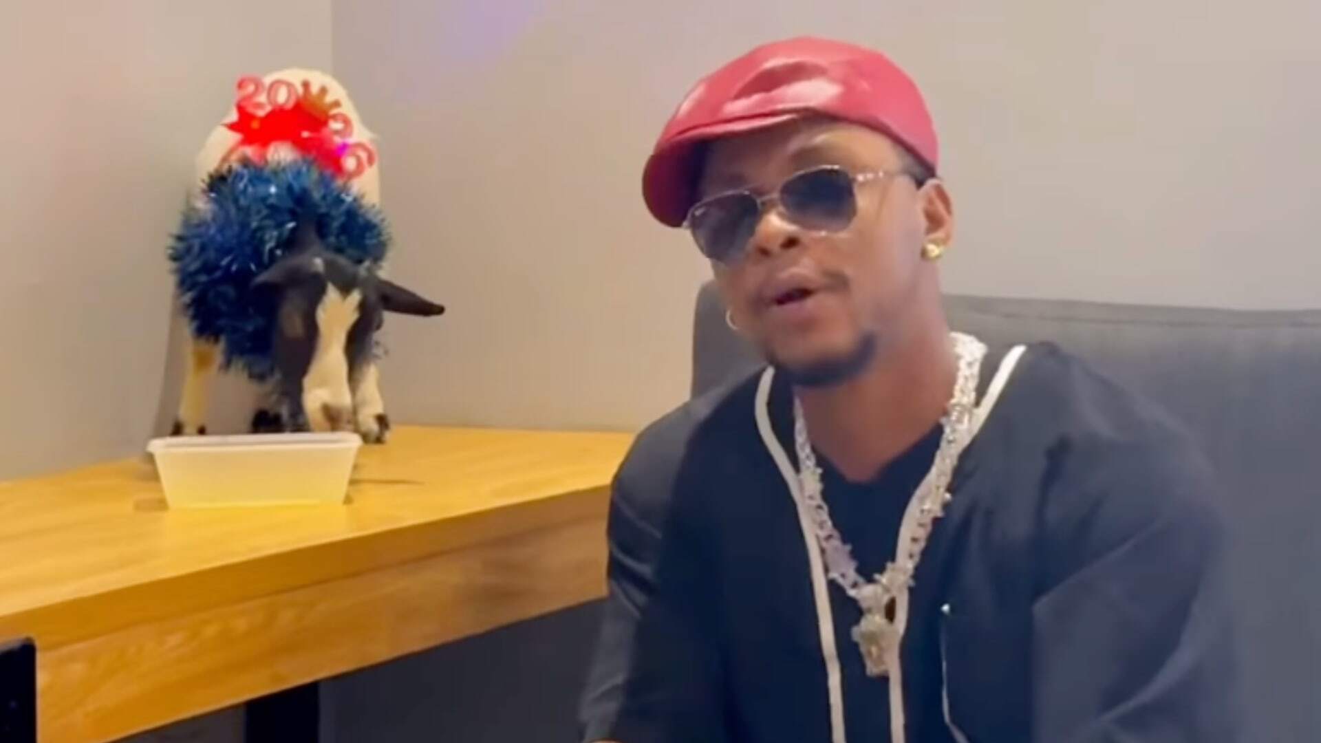 Complex - Nigerian Rapper Sparks Animal Cruelty Outrage After Dragging ...