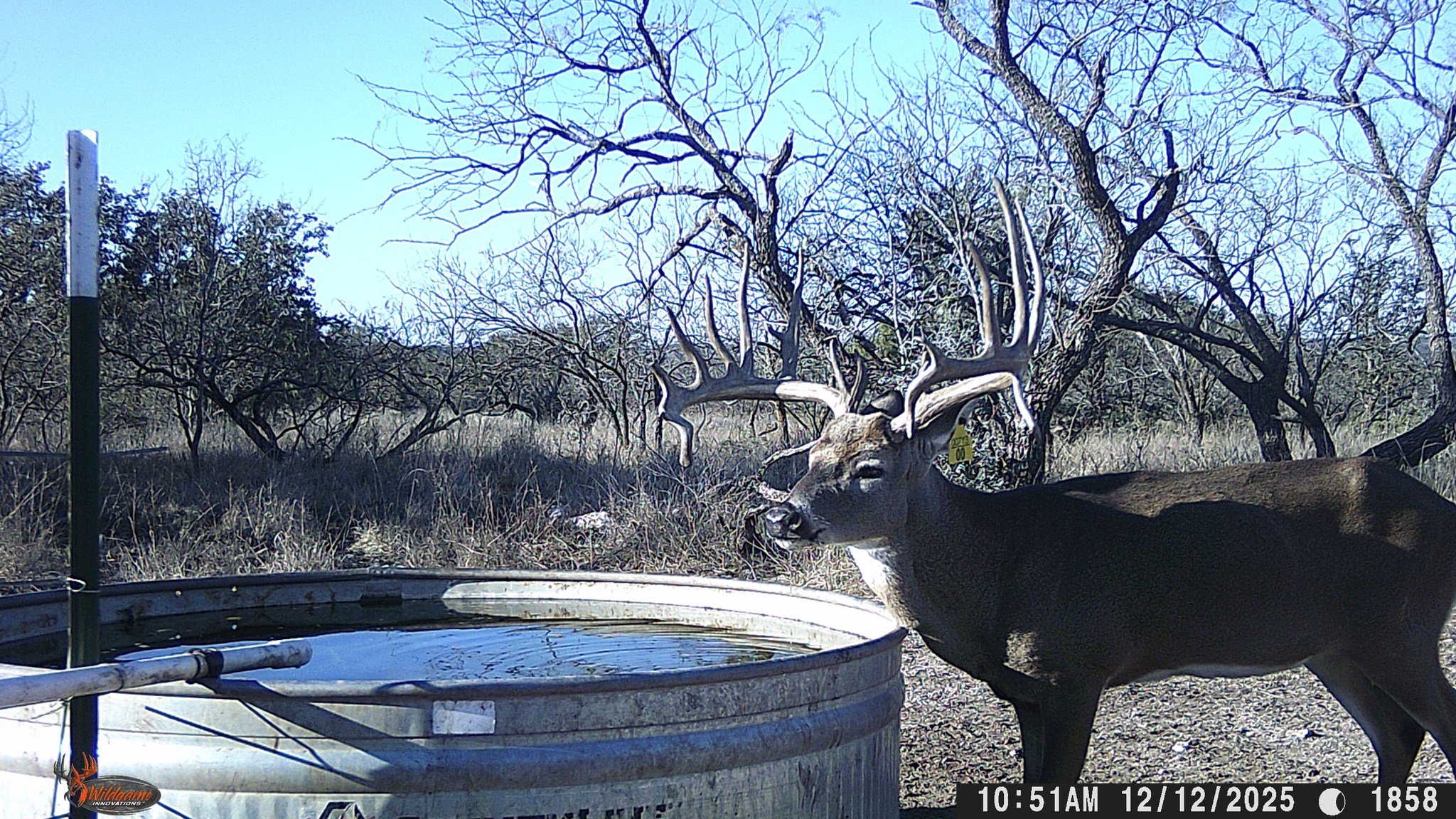 Lucky Draw Ranch | Menard TX