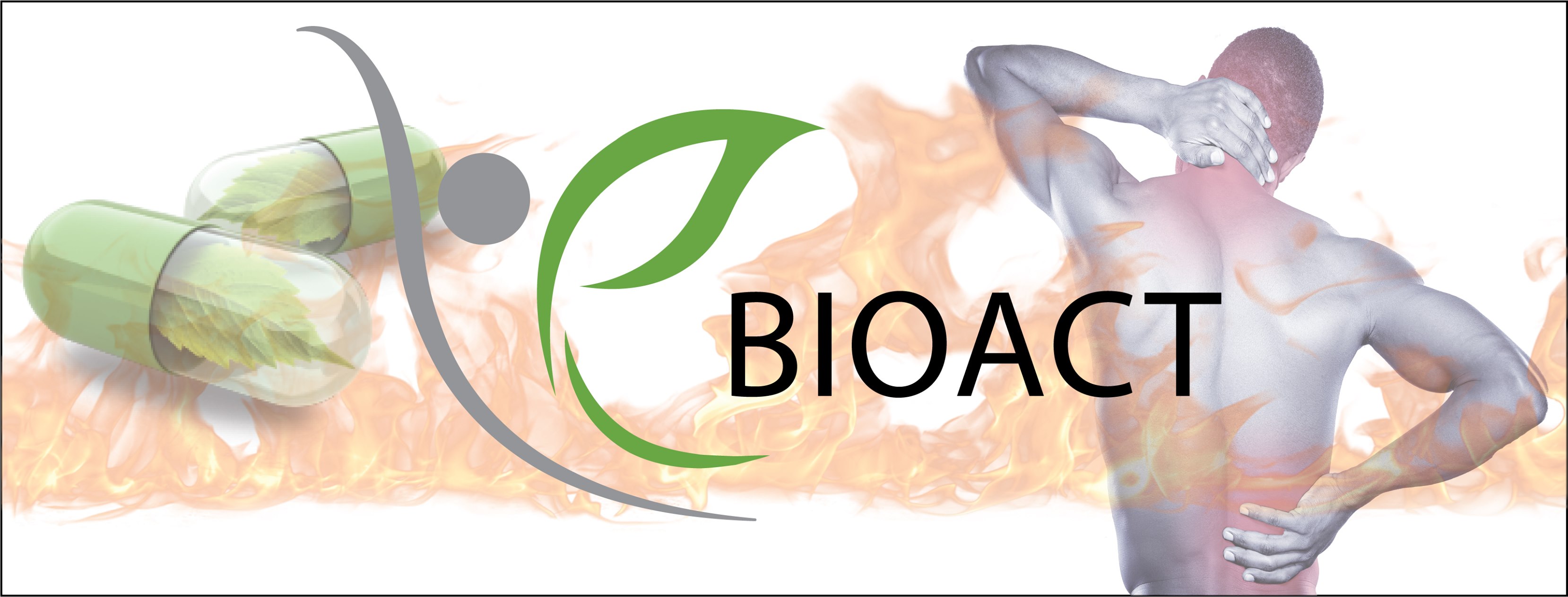 Bioact Pharmaceuticals | San Francisco CA