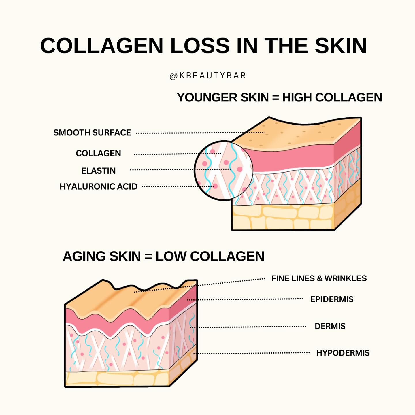 Kbeautybar - Understanding collagen loss and its impact on your skin ...