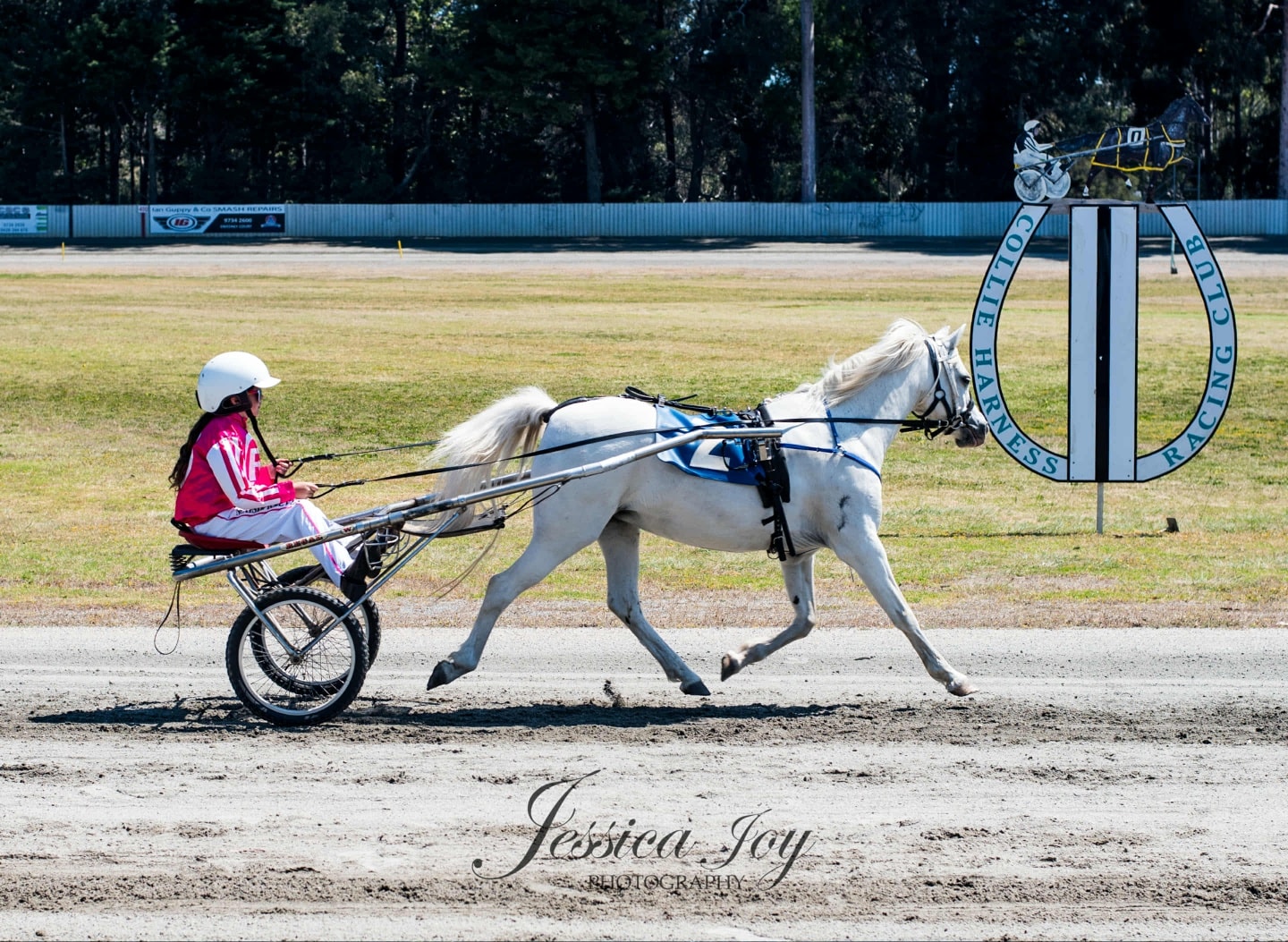 Collie Harness Racing Club | Collie WA