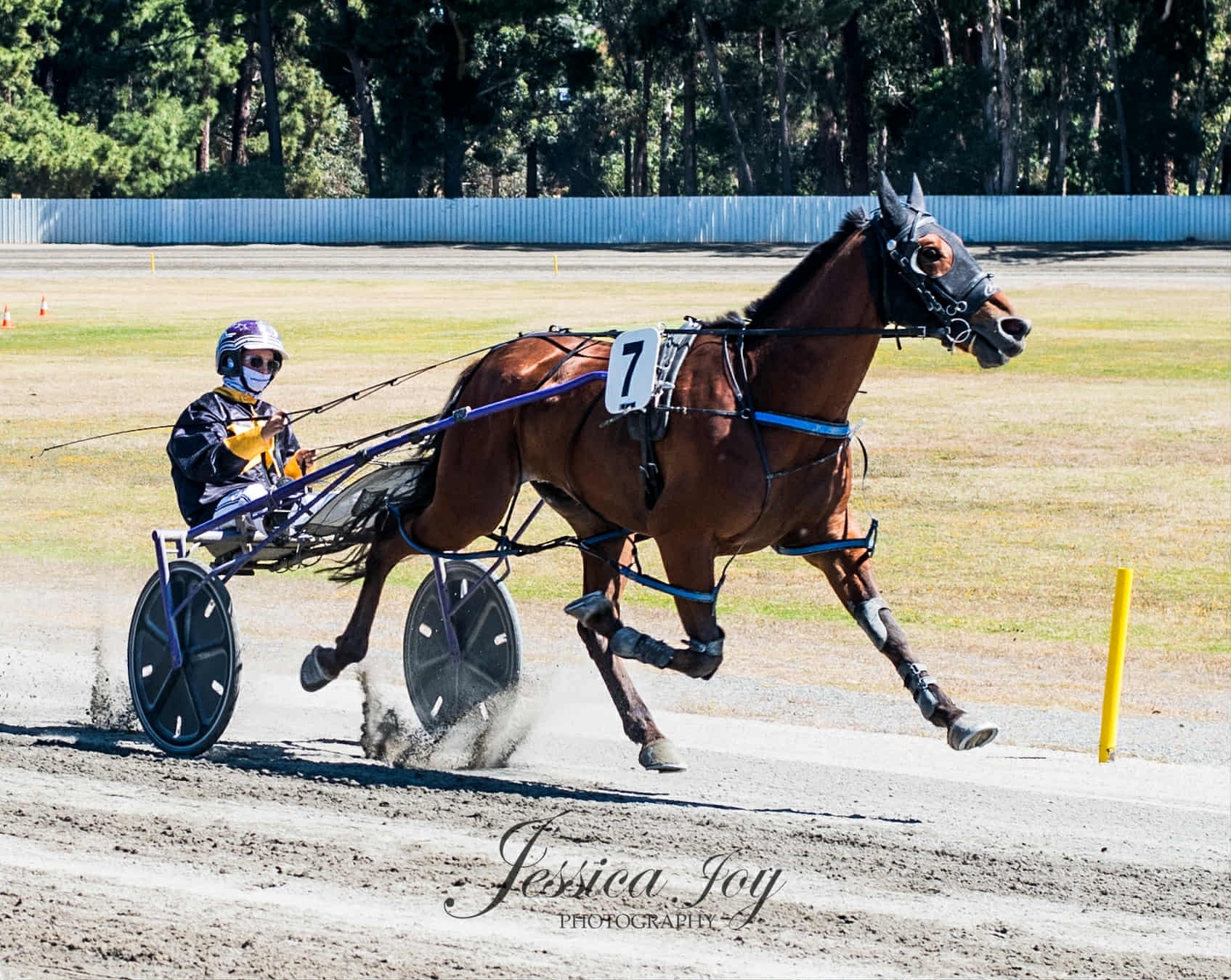 The Robert Hayward Ms Pace... - Collie Harness Racing Club | Facebook