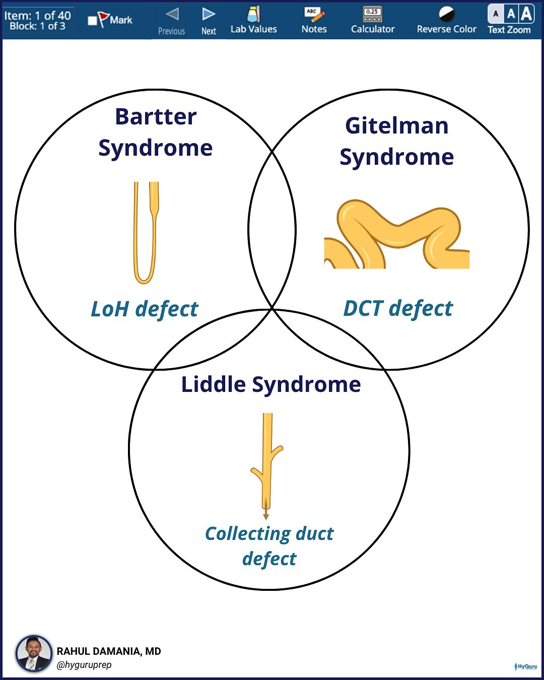 HyGuru - The 3 tubular disorders you NEED to know for the... | Facebook