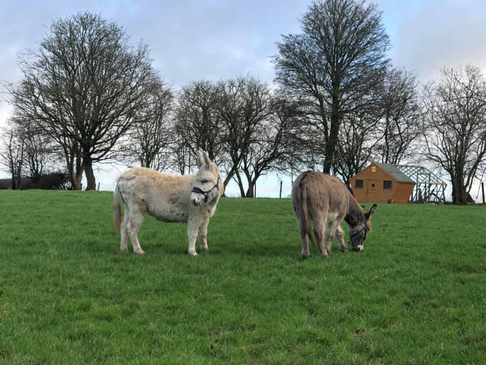 Dean Farm Trust - Dean Farm Trust added a new photo.
