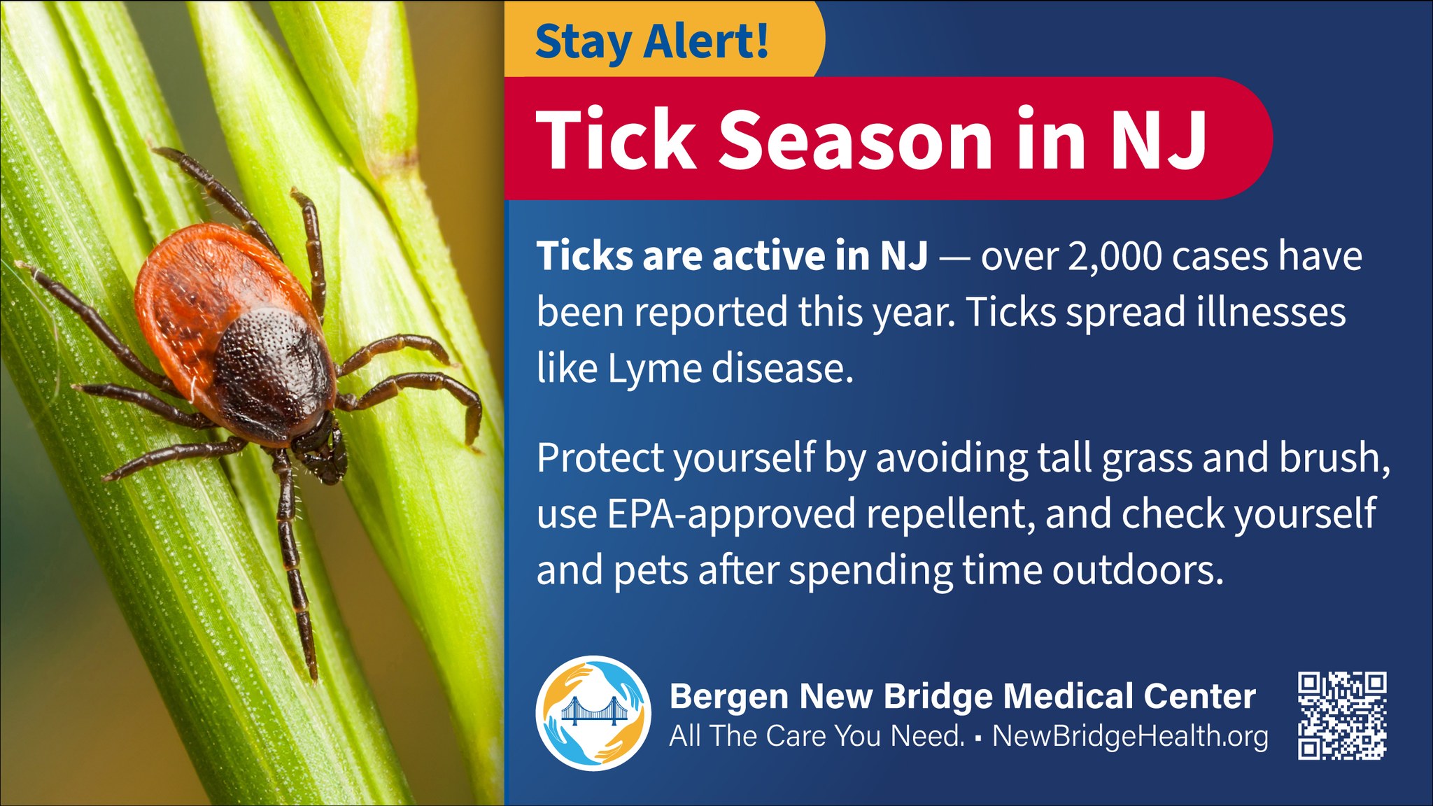 Bergen - Stay Alert! Tick Season in NJ Ticks are active in NJ - over ...