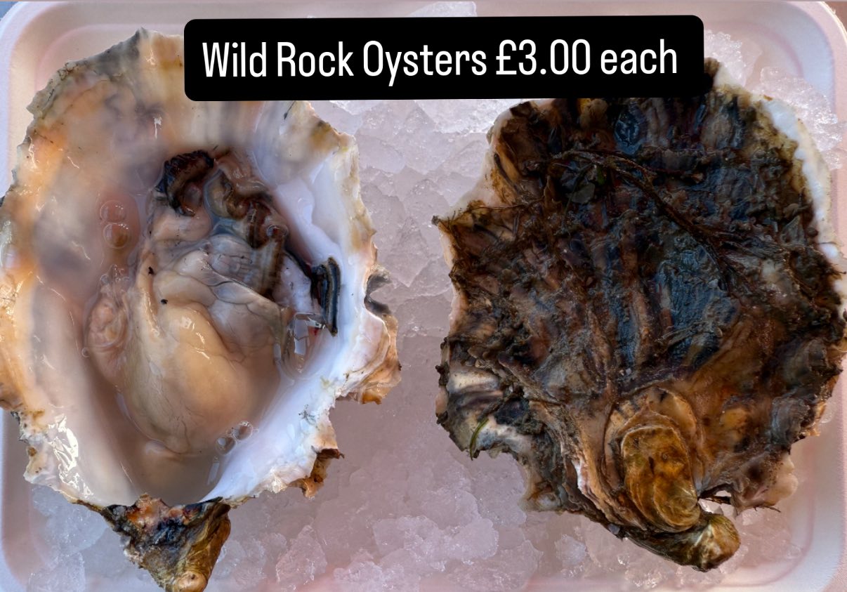 West Whelks Shellfish | Whitstable