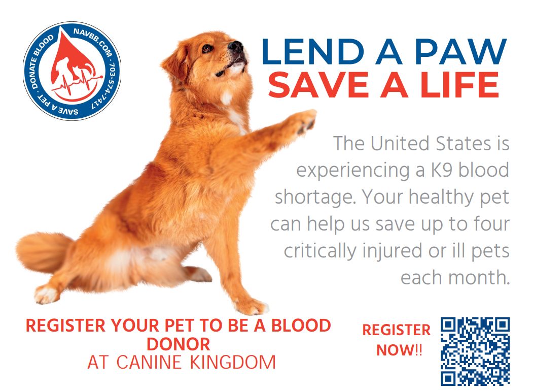 Canine Kingdom - 🐾 Canine Kingdom is proud to host a Dog... | Facebook