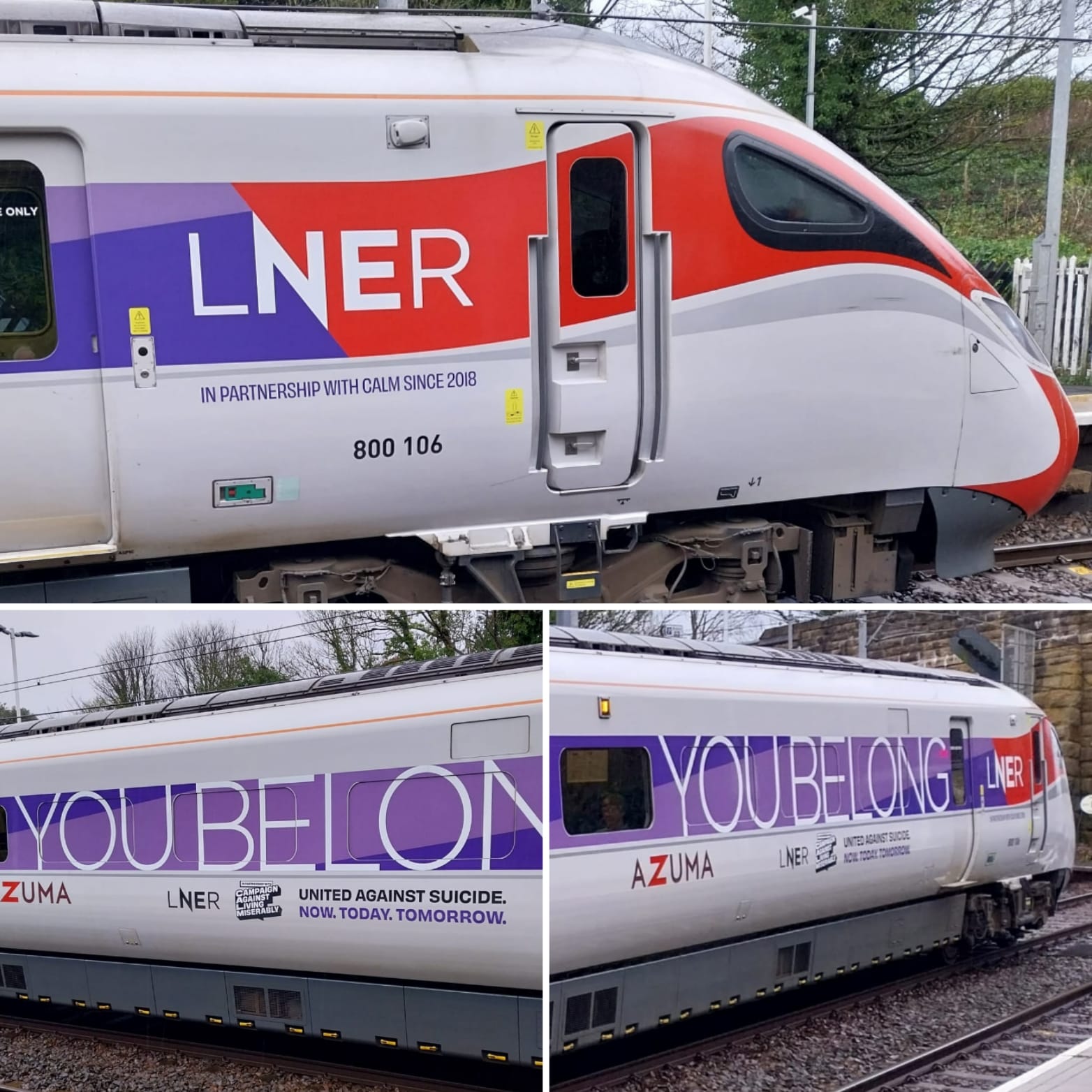 800106 showing off the lavender tone of its You Belong wrap in