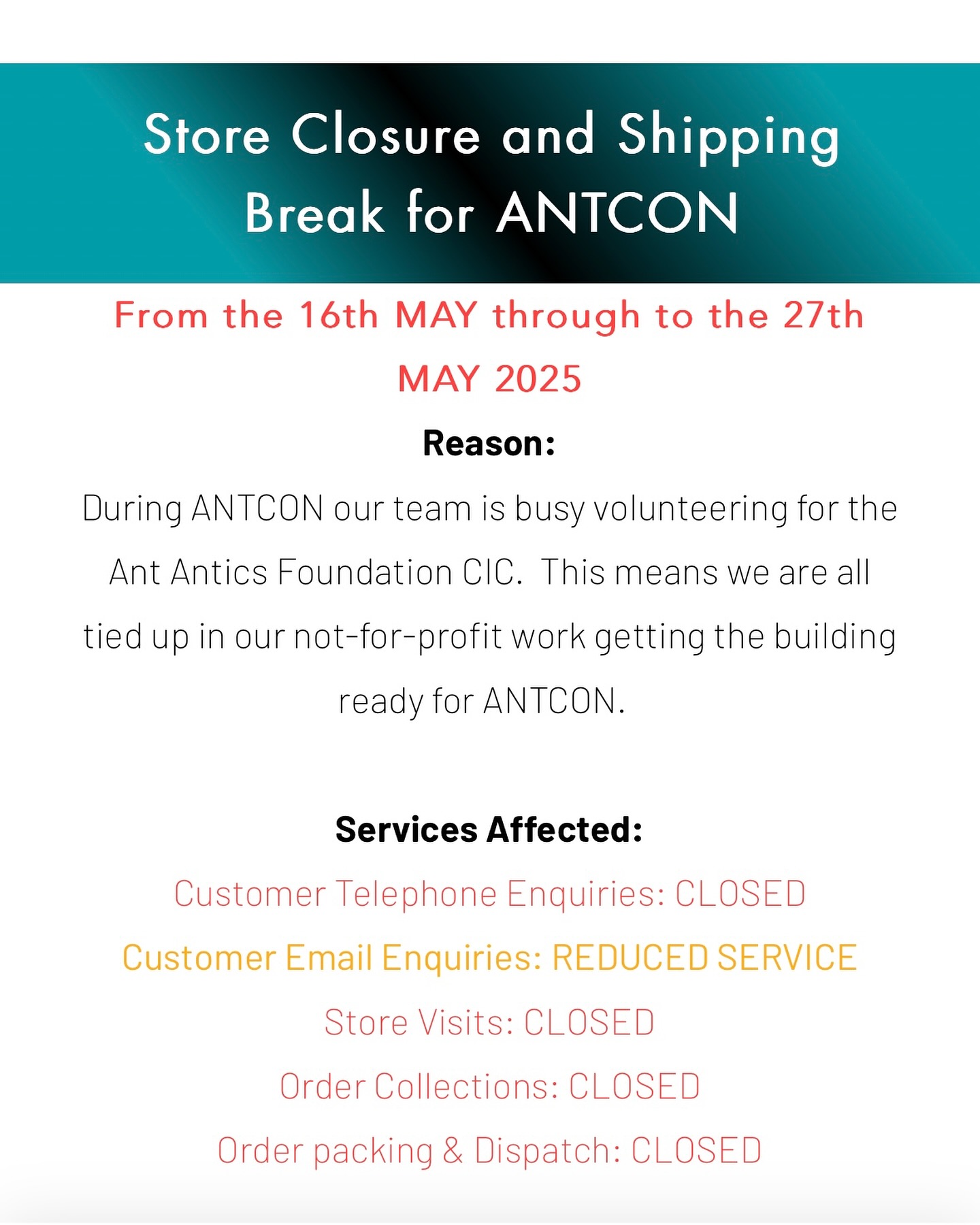 Ant Antics | Carmarthen