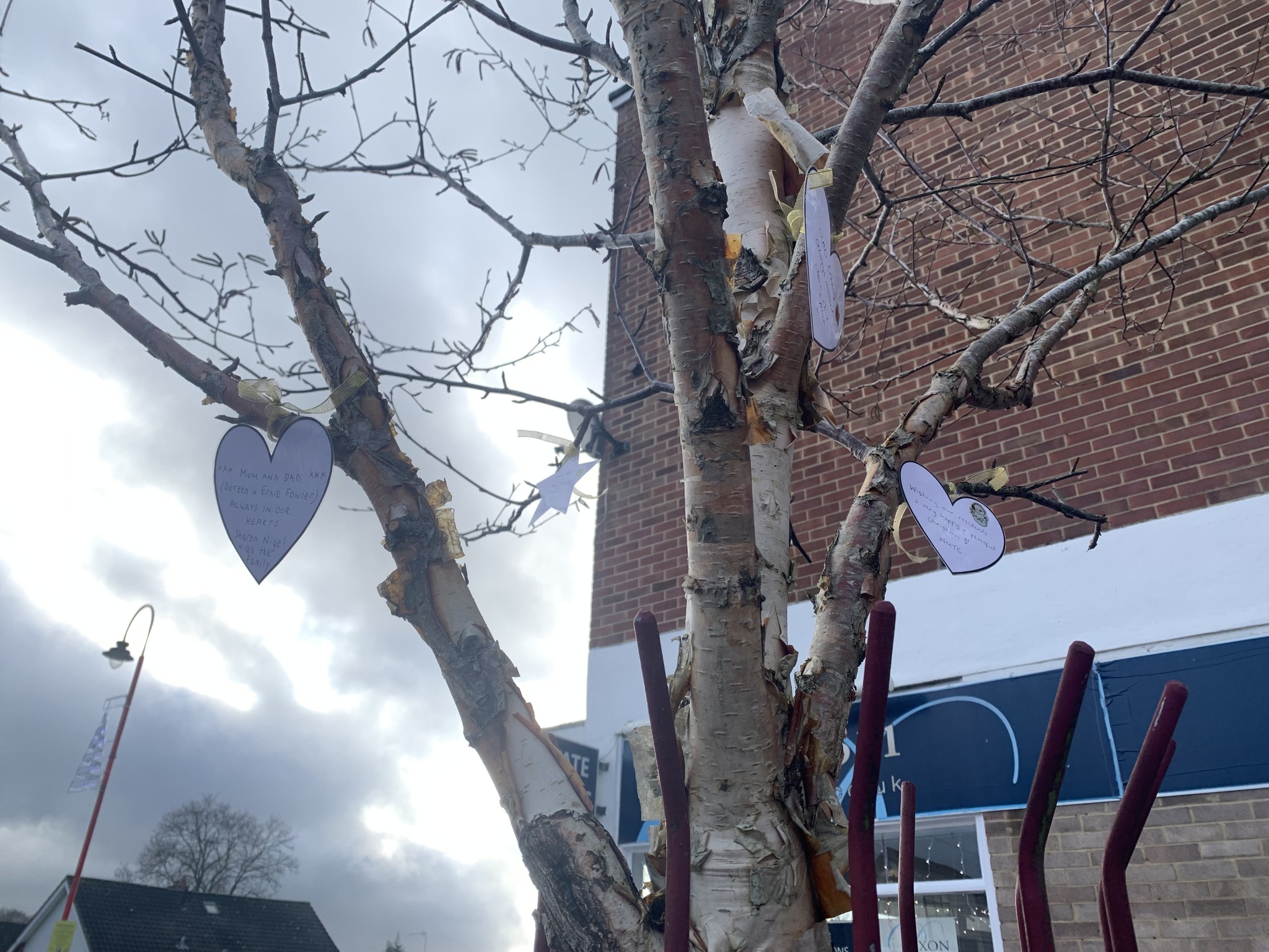 West - The first few notes are in our Memory Tree on Station Road. Pop ...