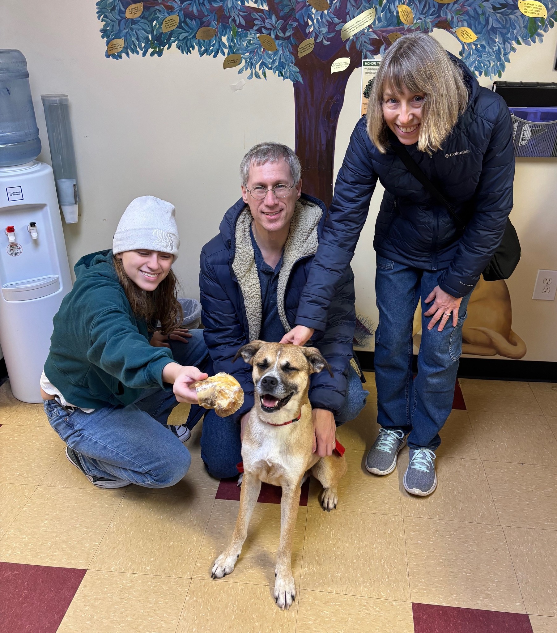 Hanover Humane Society | Ashland VA