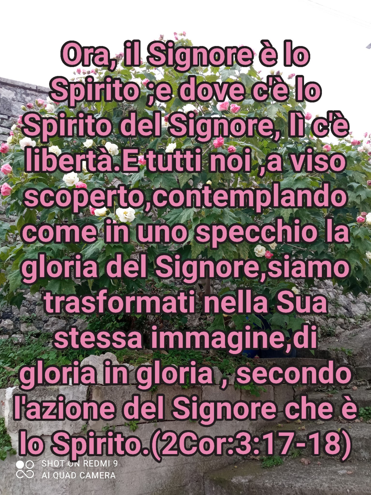 Aspettando il ritorno di Gesù Cristo nostro Signore 🙏 | La nostra ...