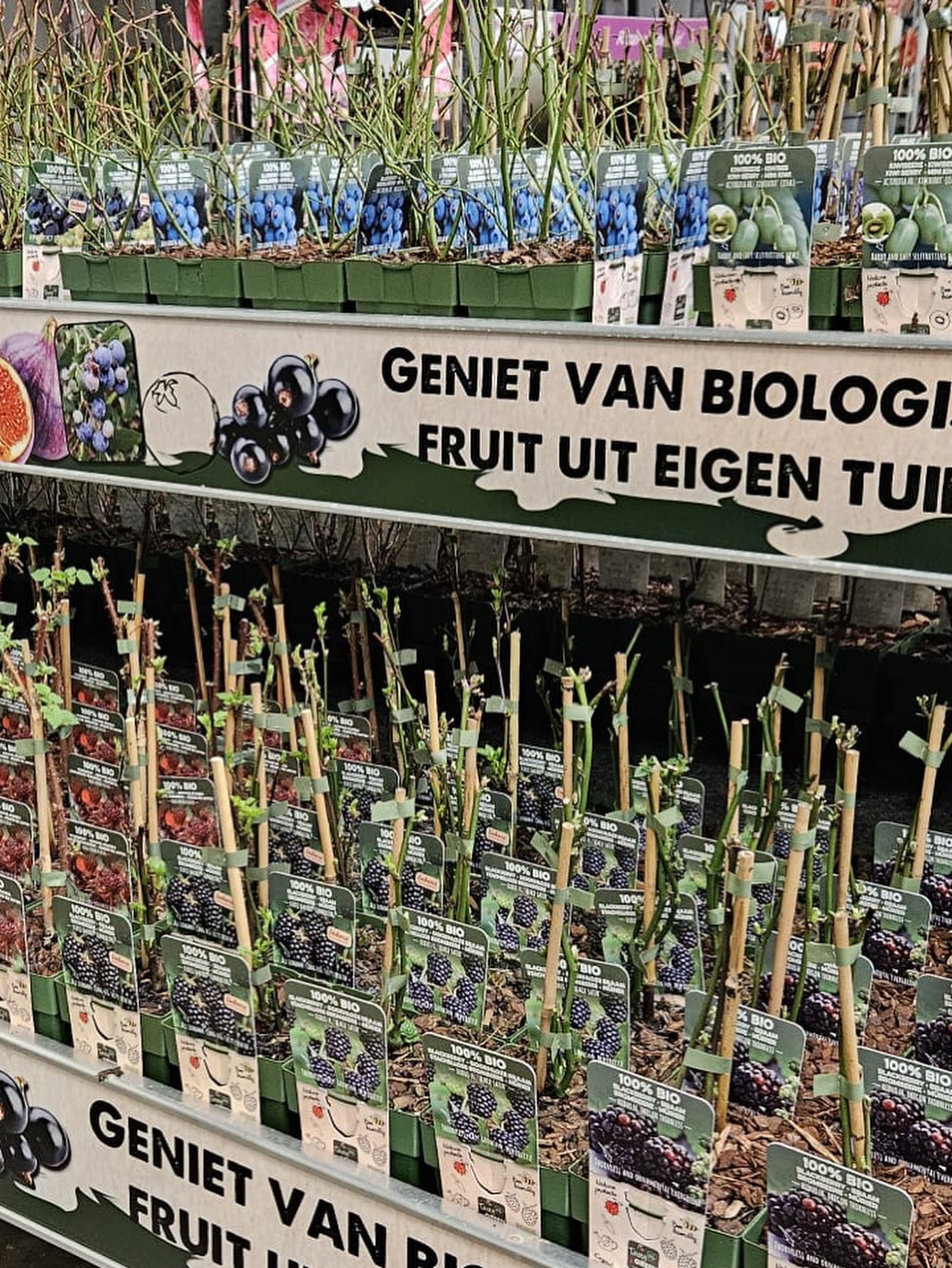 GroenRijk Rijswijk ('t Haantje) | Rijswijk