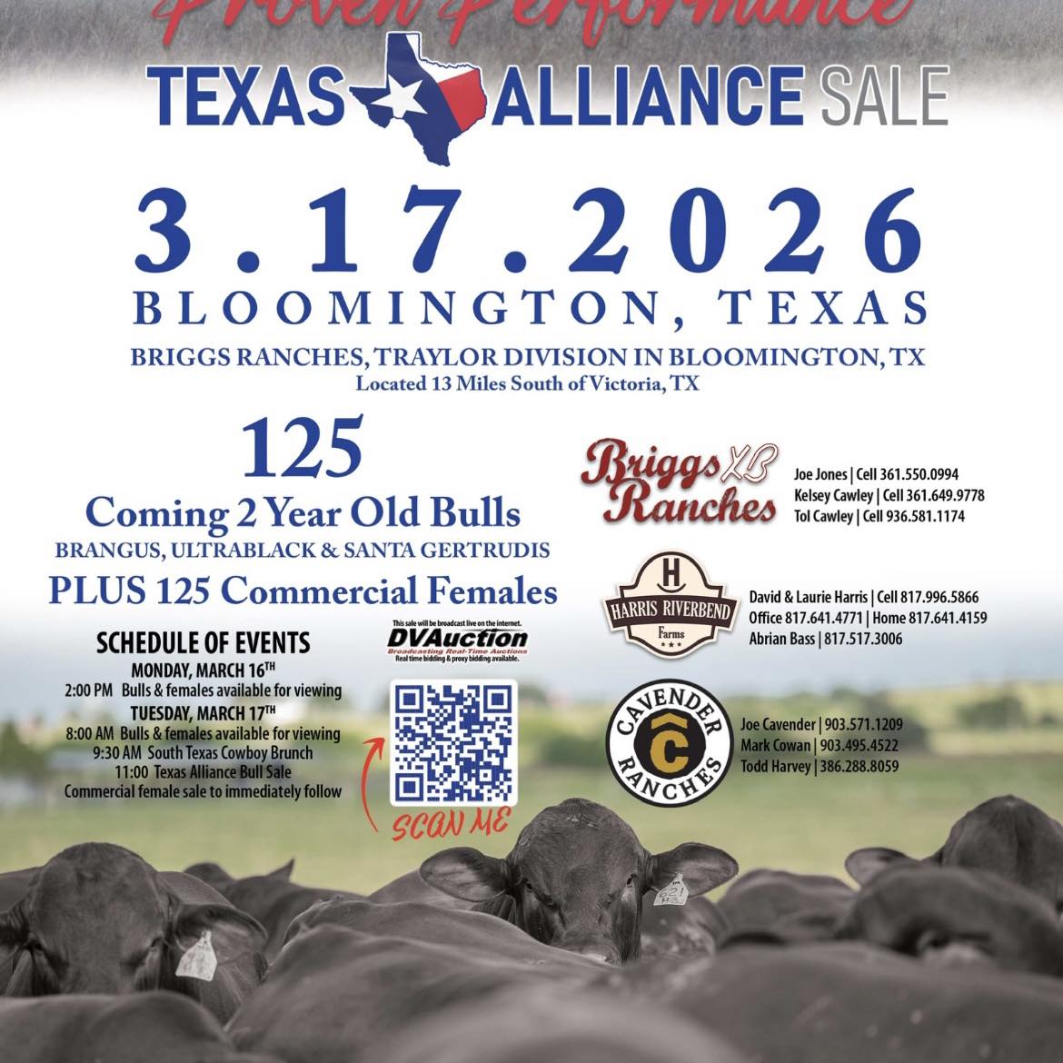 Briggs Ranch - A fancy set of open Brangus females that... | Facebook