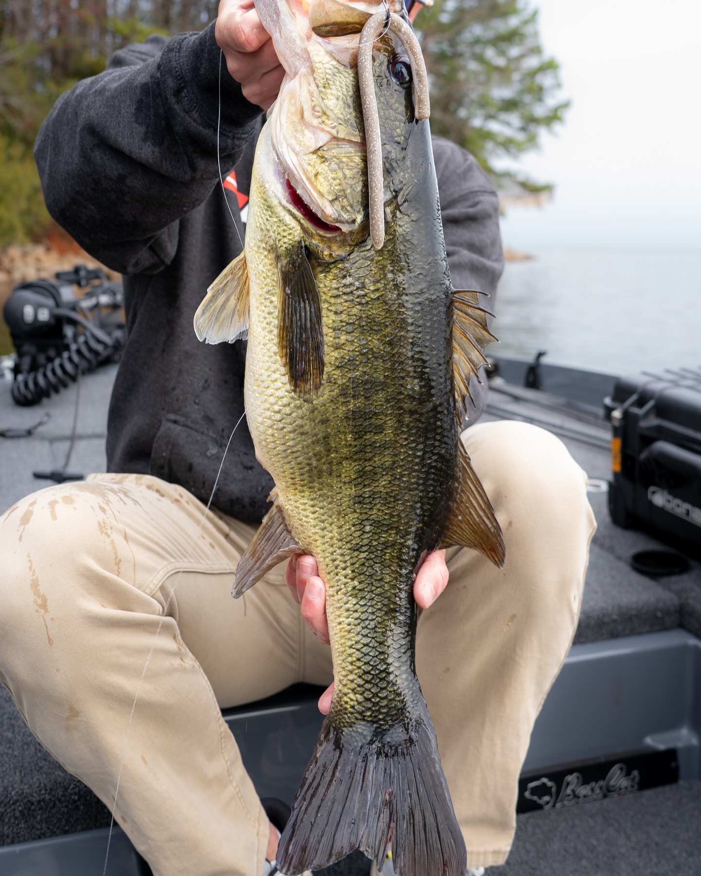 berkley bass fishing rods Patrol Tournament Edition Spinning Rod This Berkley Fusion Spinning combo is an action Best rod under $50.(BERKLEY LIGHTNING