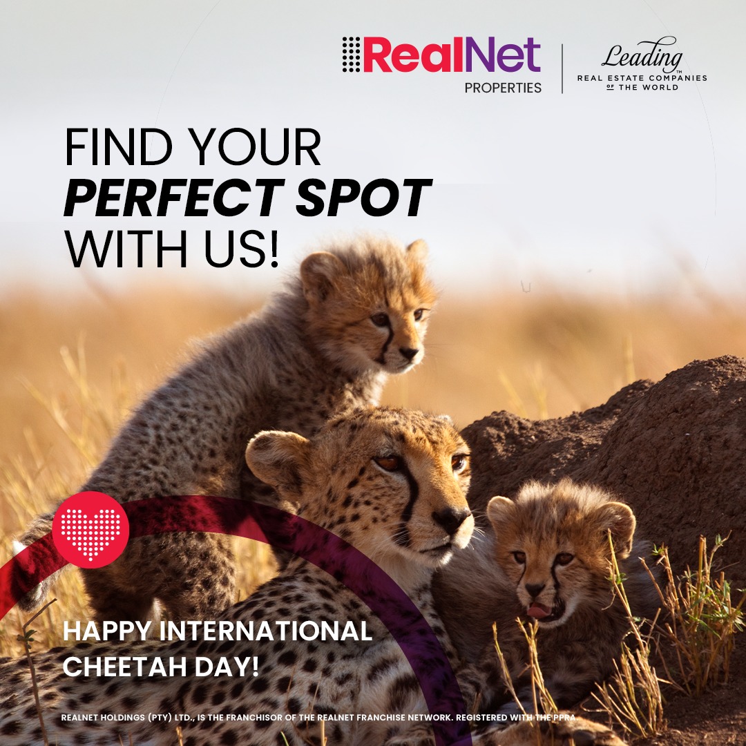 Happy International Cheetah... - RealNet George Properties | Facebook