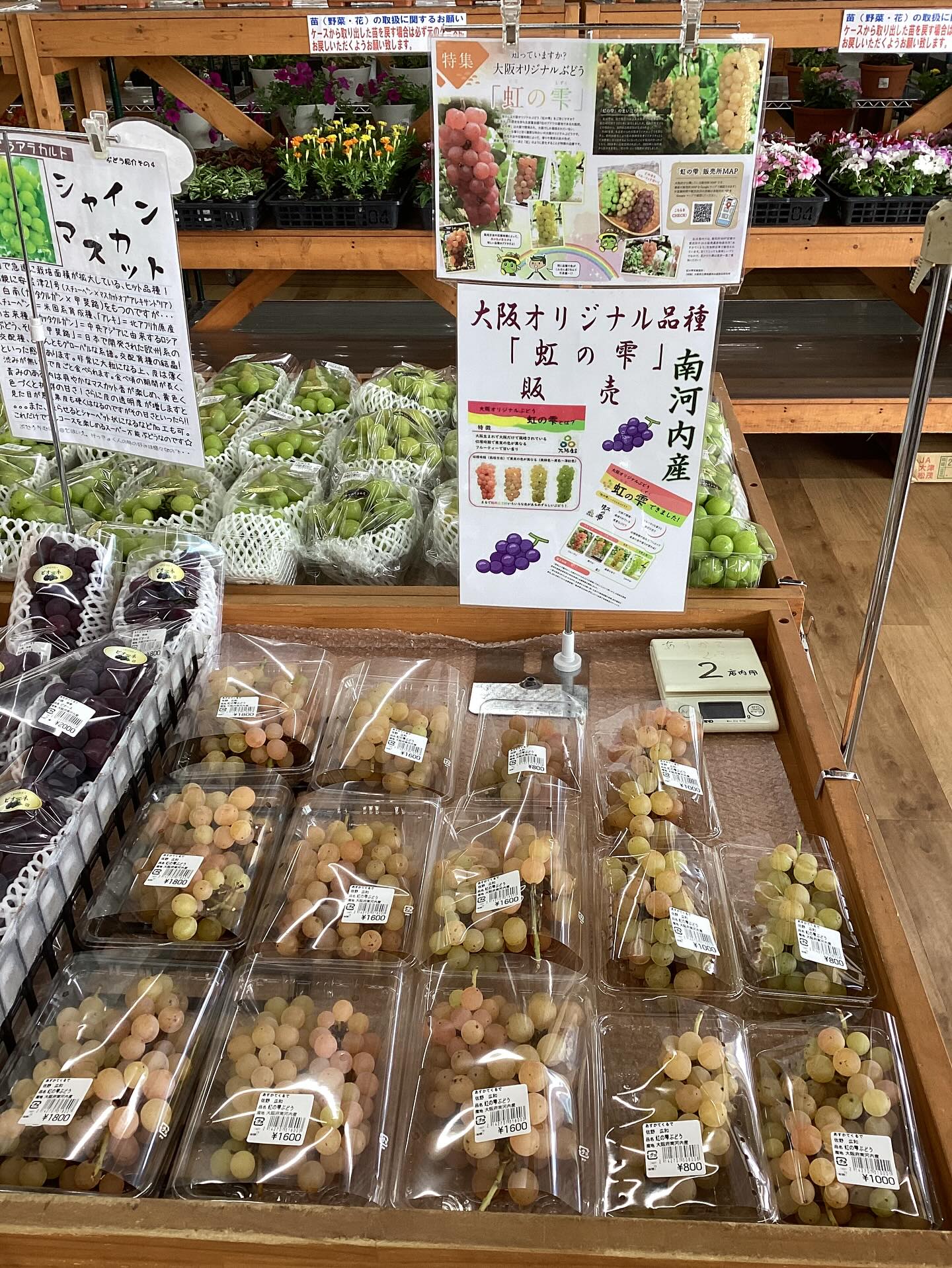 あすか て くる で 羽曳野