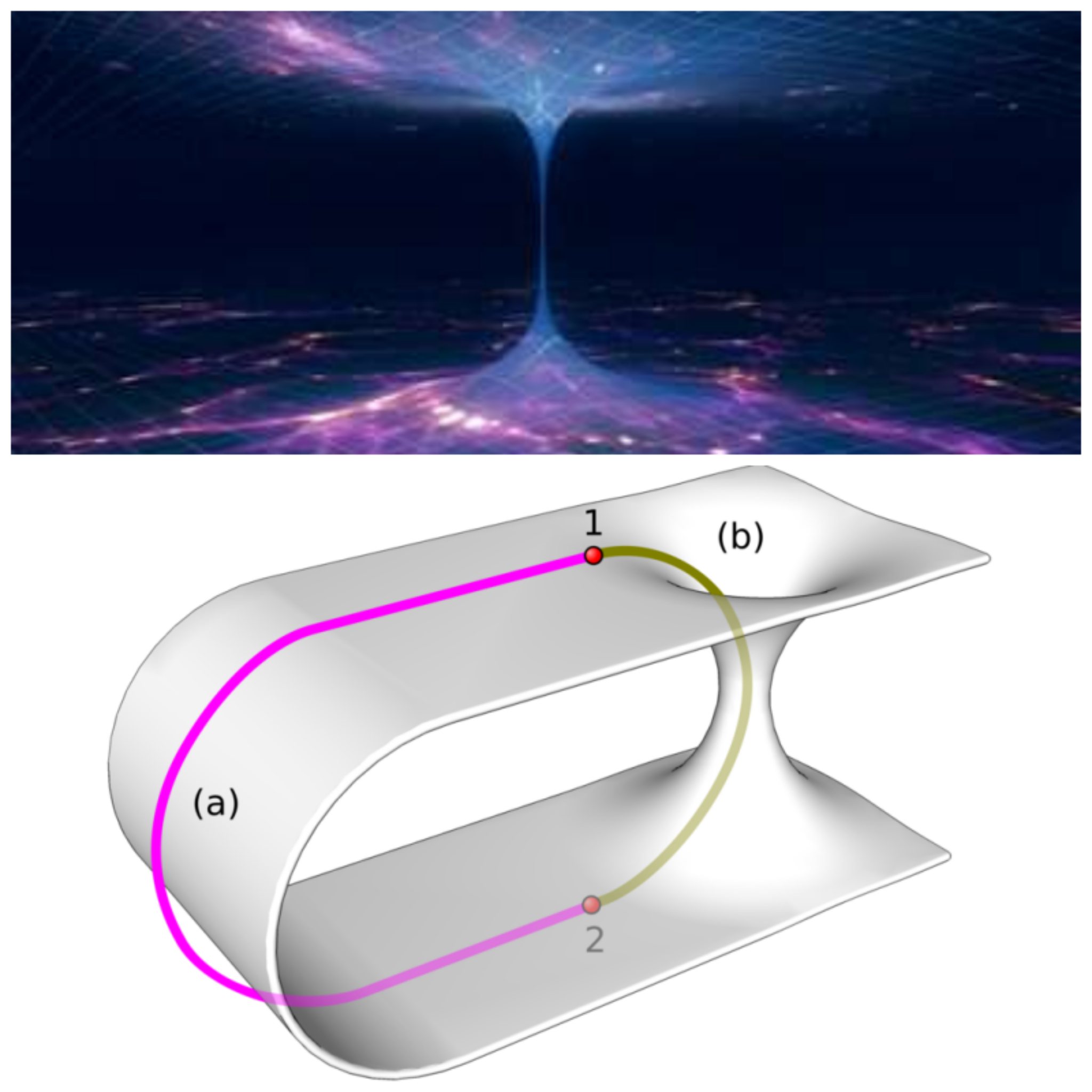 Amici - Wormhole: nome coniato dal fisico John Wheeler, significa ...