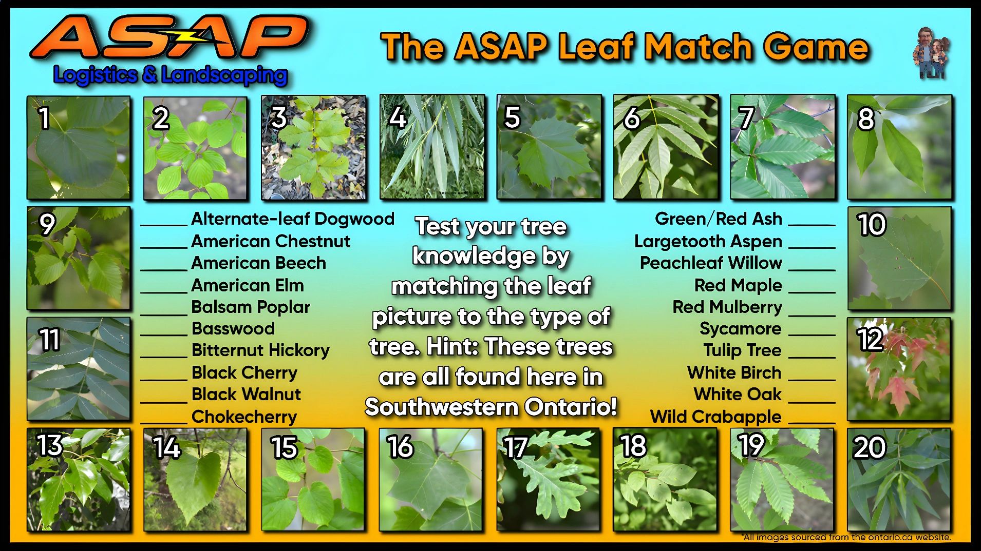 ASAP - 🌳 Test Your Tree Knowledge! 🌳 Think you know your trees? 🌲🍁🌿 We ...