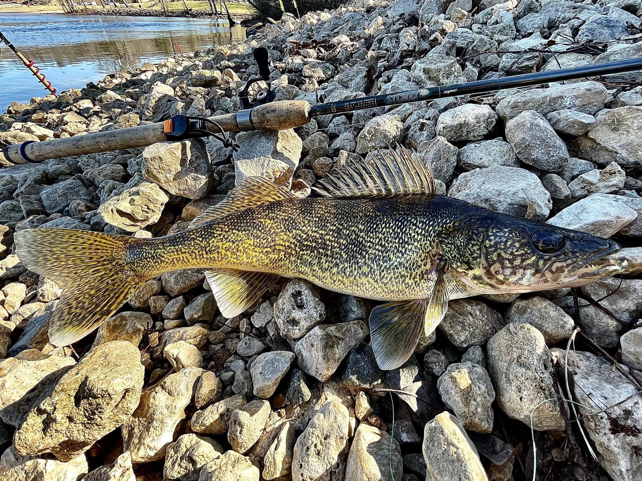 WI Women Fish - WI Women Fish added a new photo.